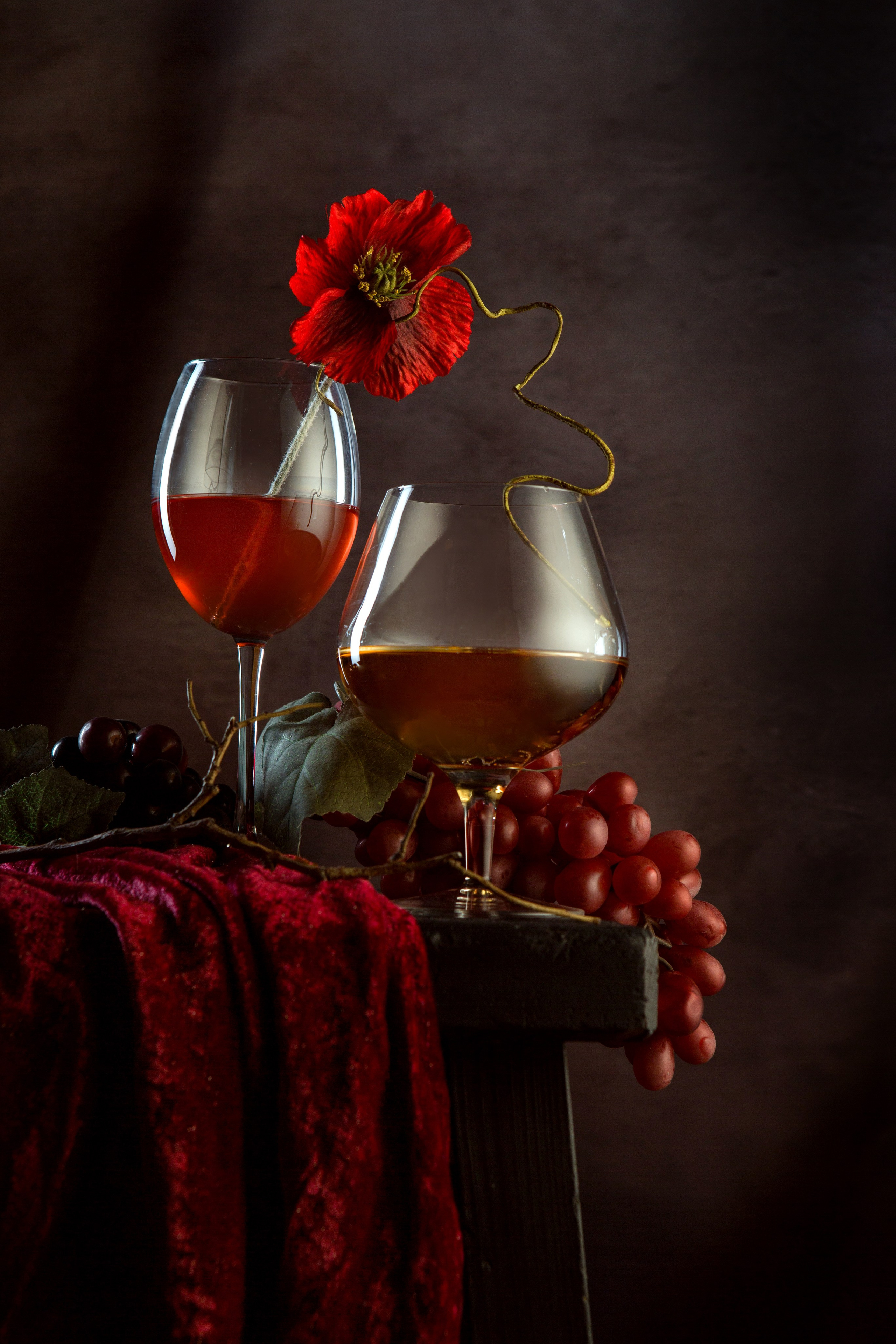 Низкий ключ. Фотограф Мария Кольцова