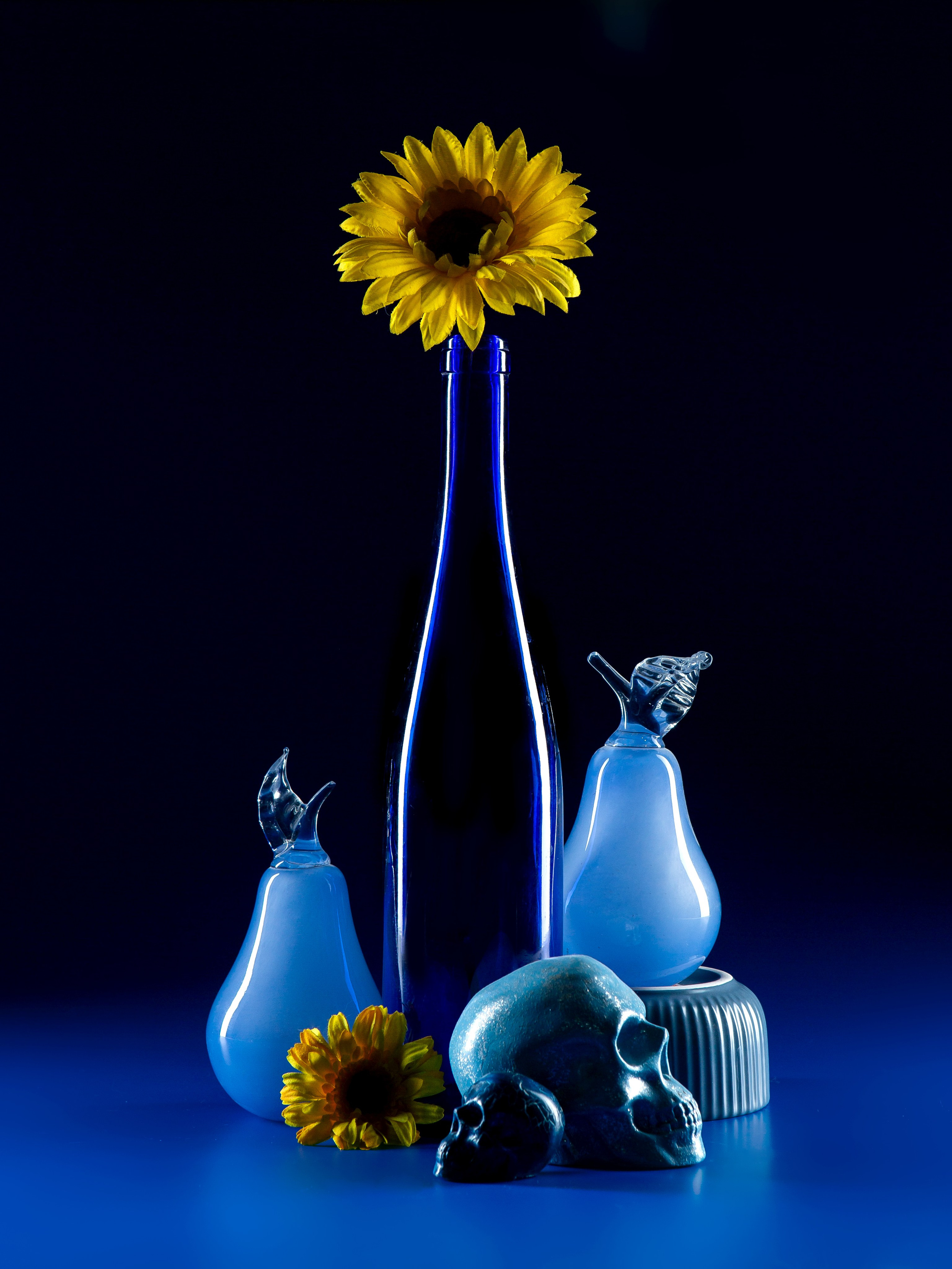 Синий. Фотограф Мария Кольцова