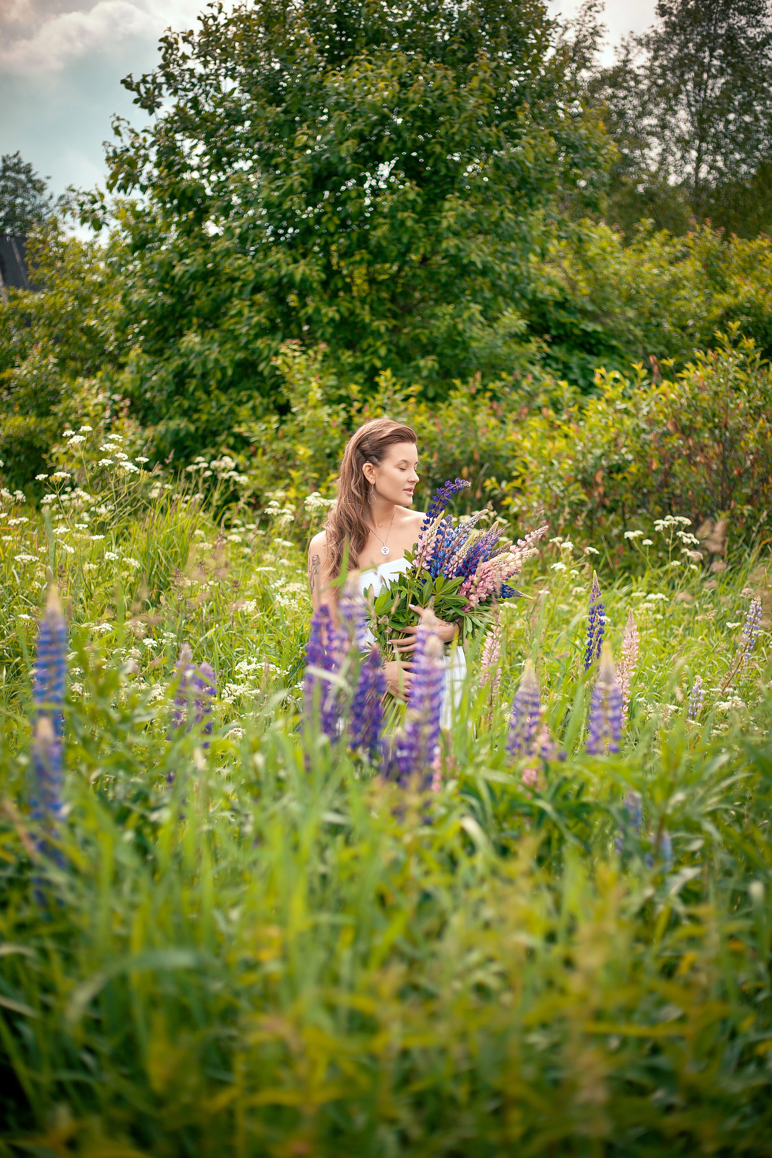 Люпины. Фотограф Мария Кольцова