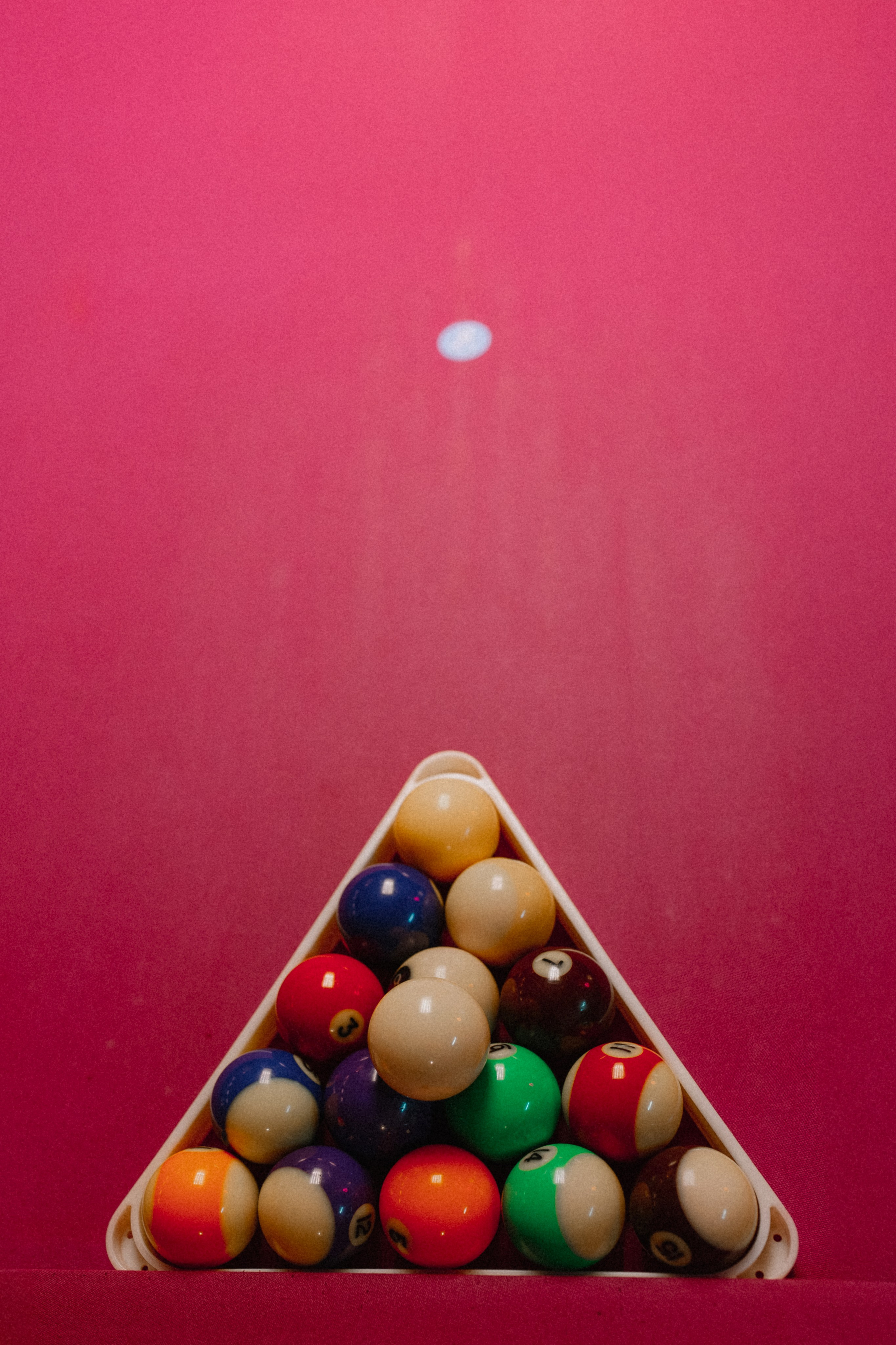 Розовая свадьба. Николь — ваш любимый фотограф в Санкт-Петербурге