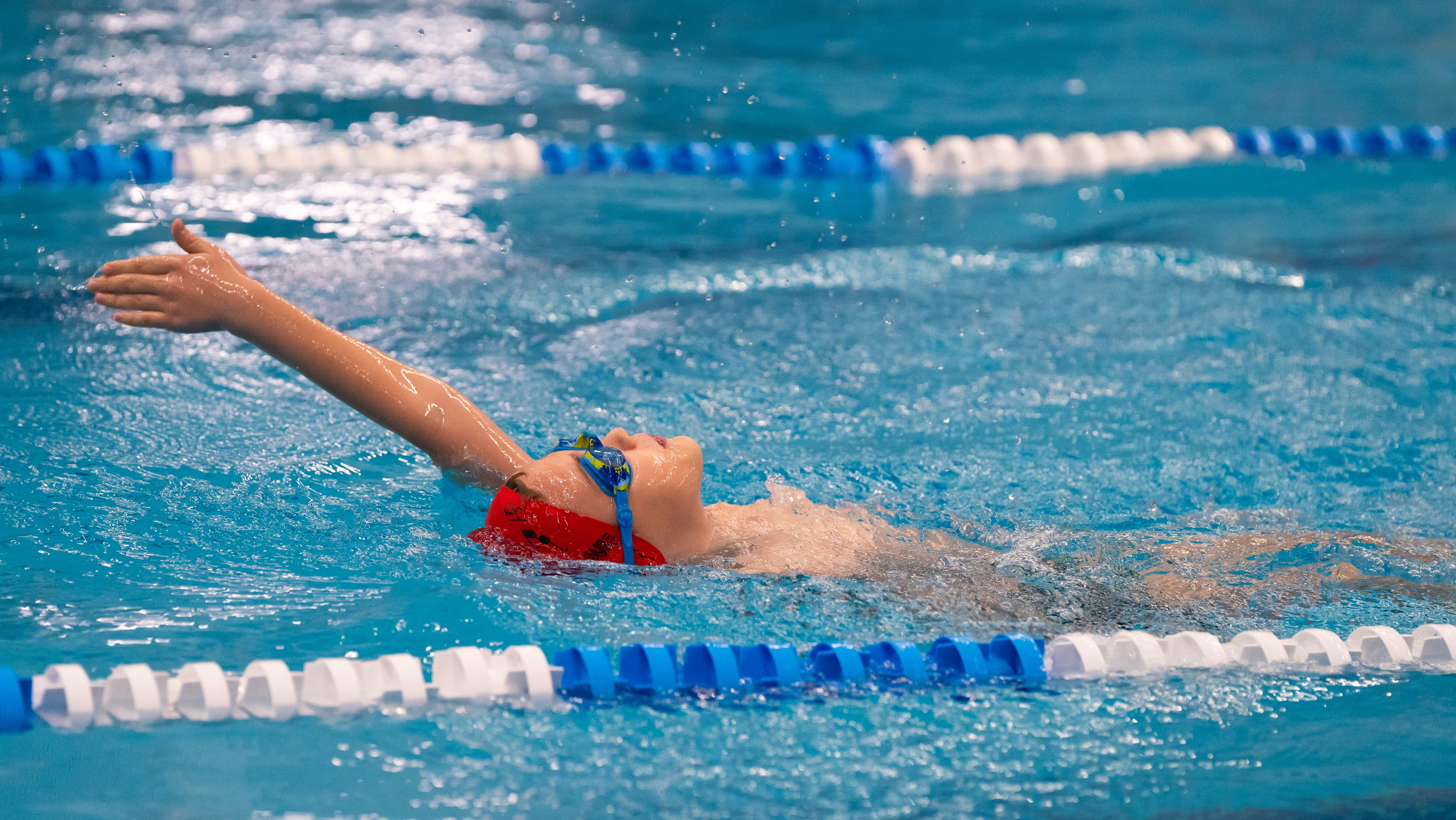Открытый новогодний турнир по плаванию «Сила воды», 2025. Фотограф и видеооператор Екатерина Гнатюк
