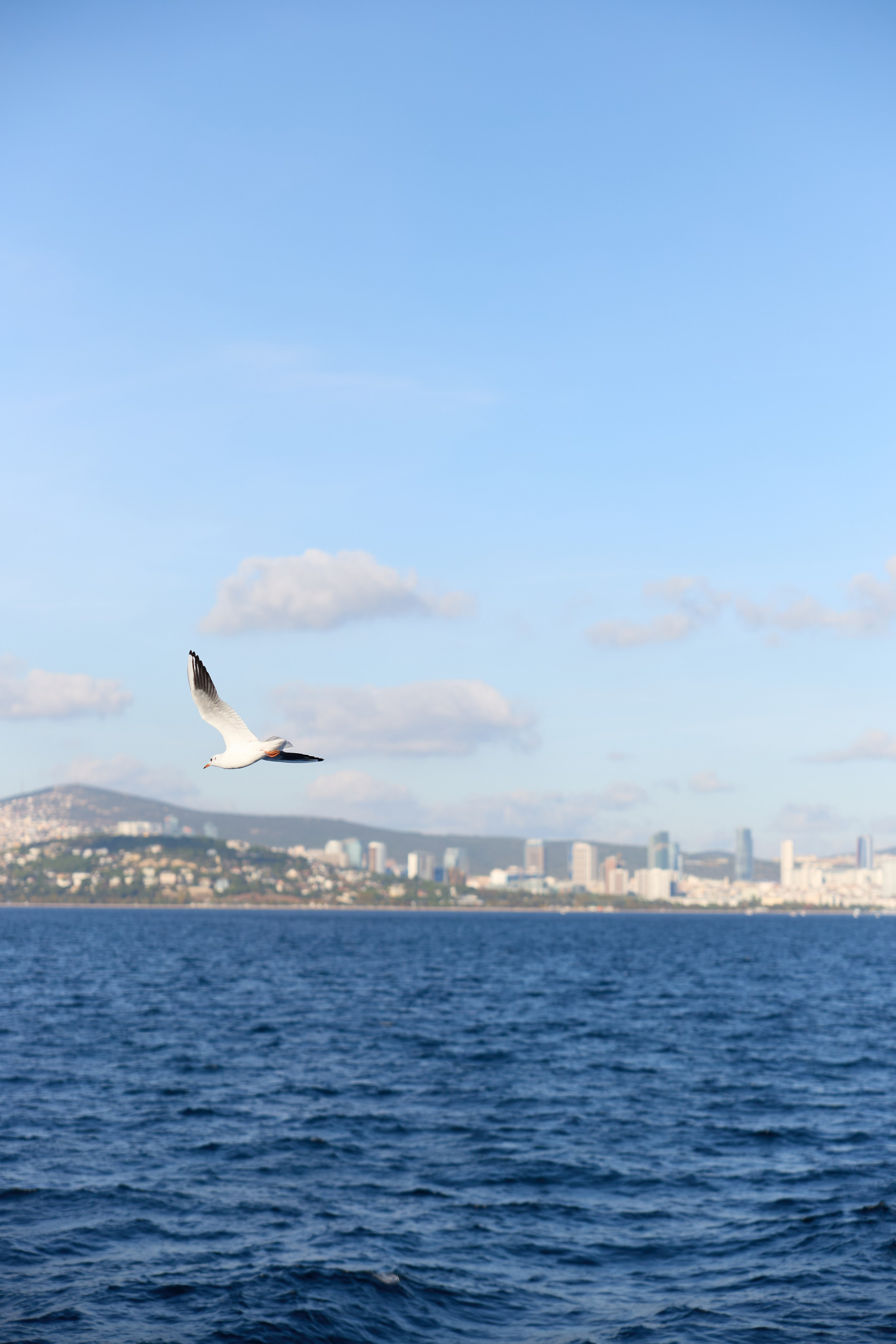 Стамбул 24. Фотограф Москва, Дима Пеллер