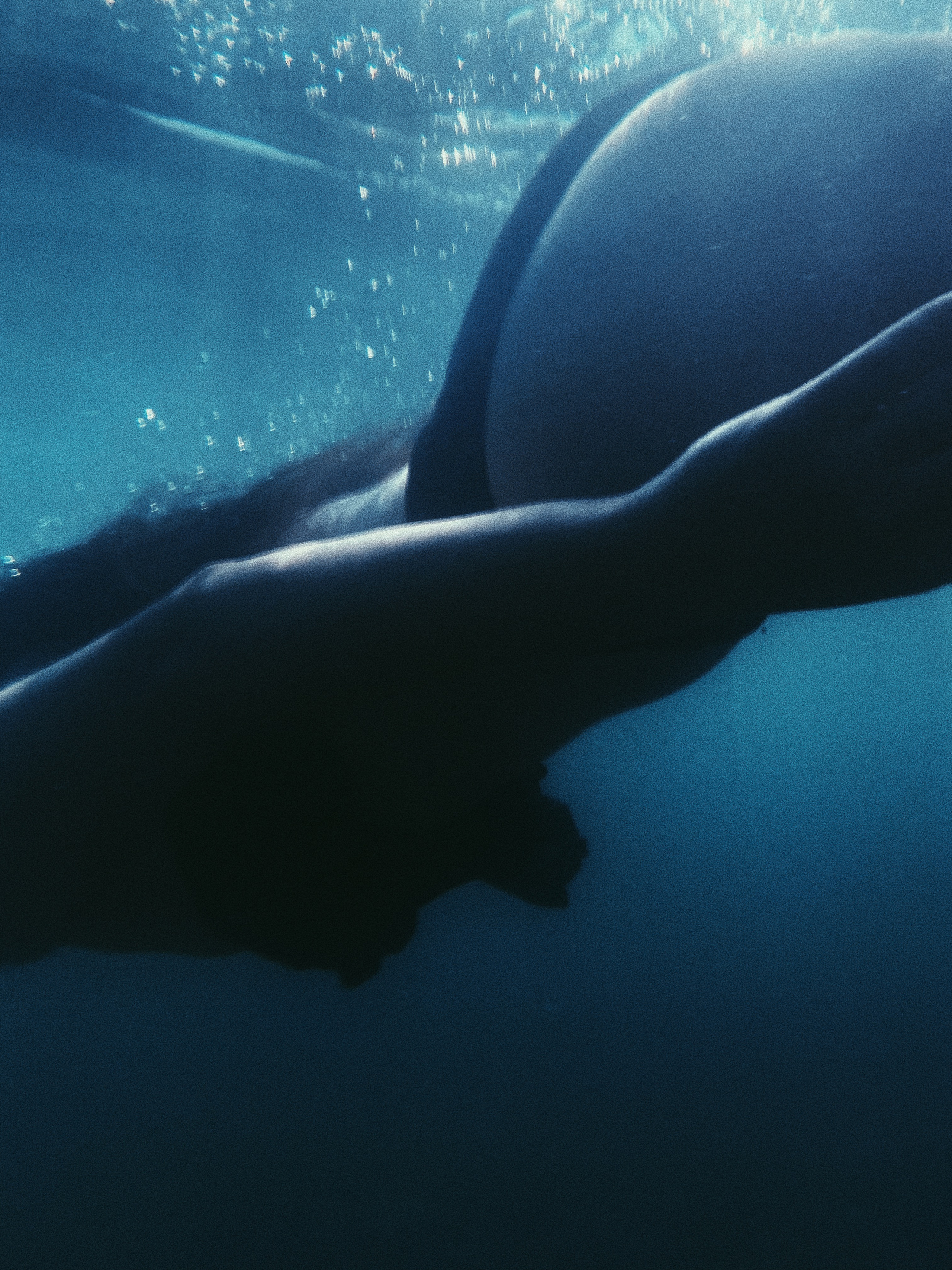 Underwater. Carolinetru