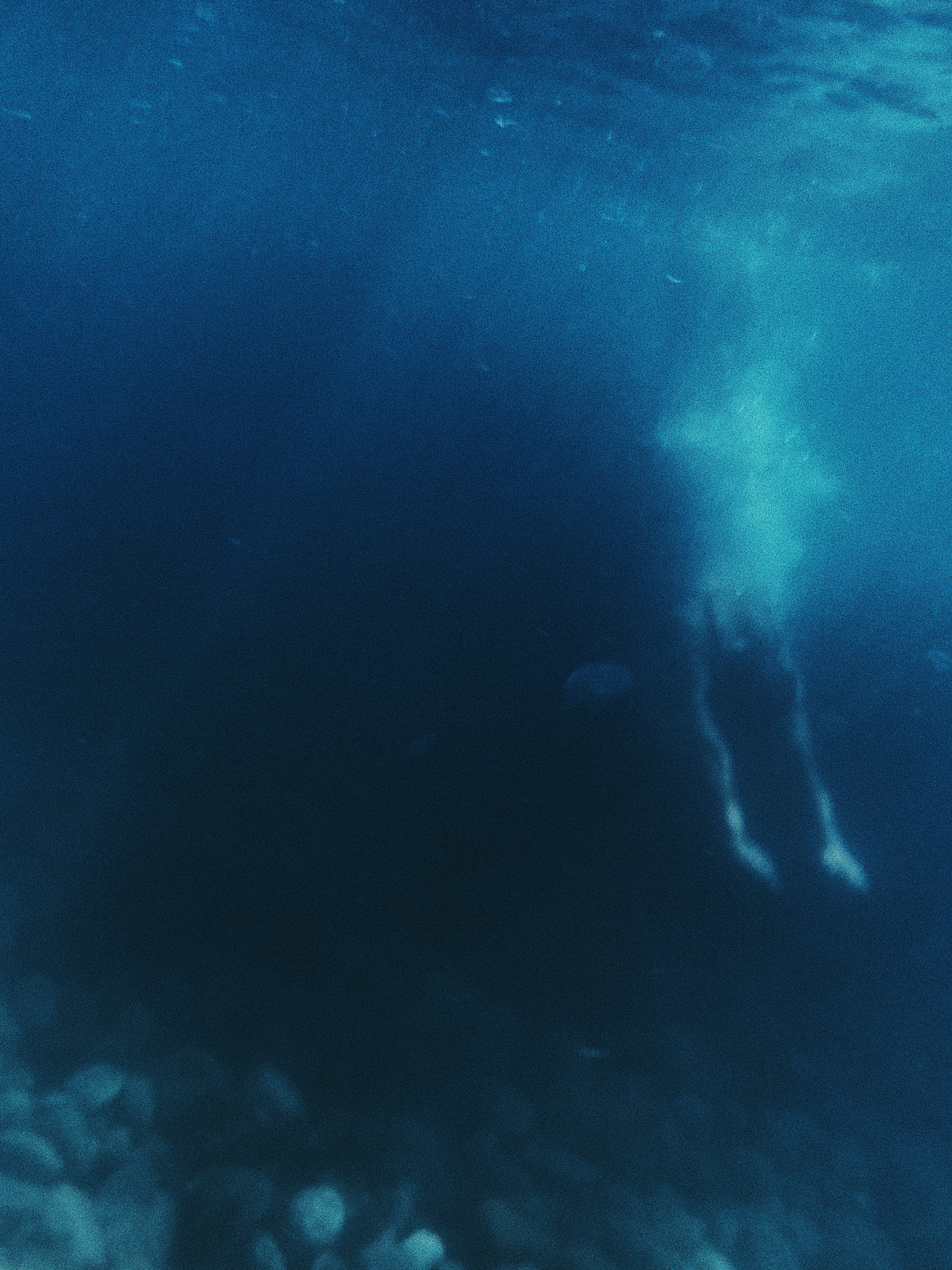 Underwater. Carolinetru