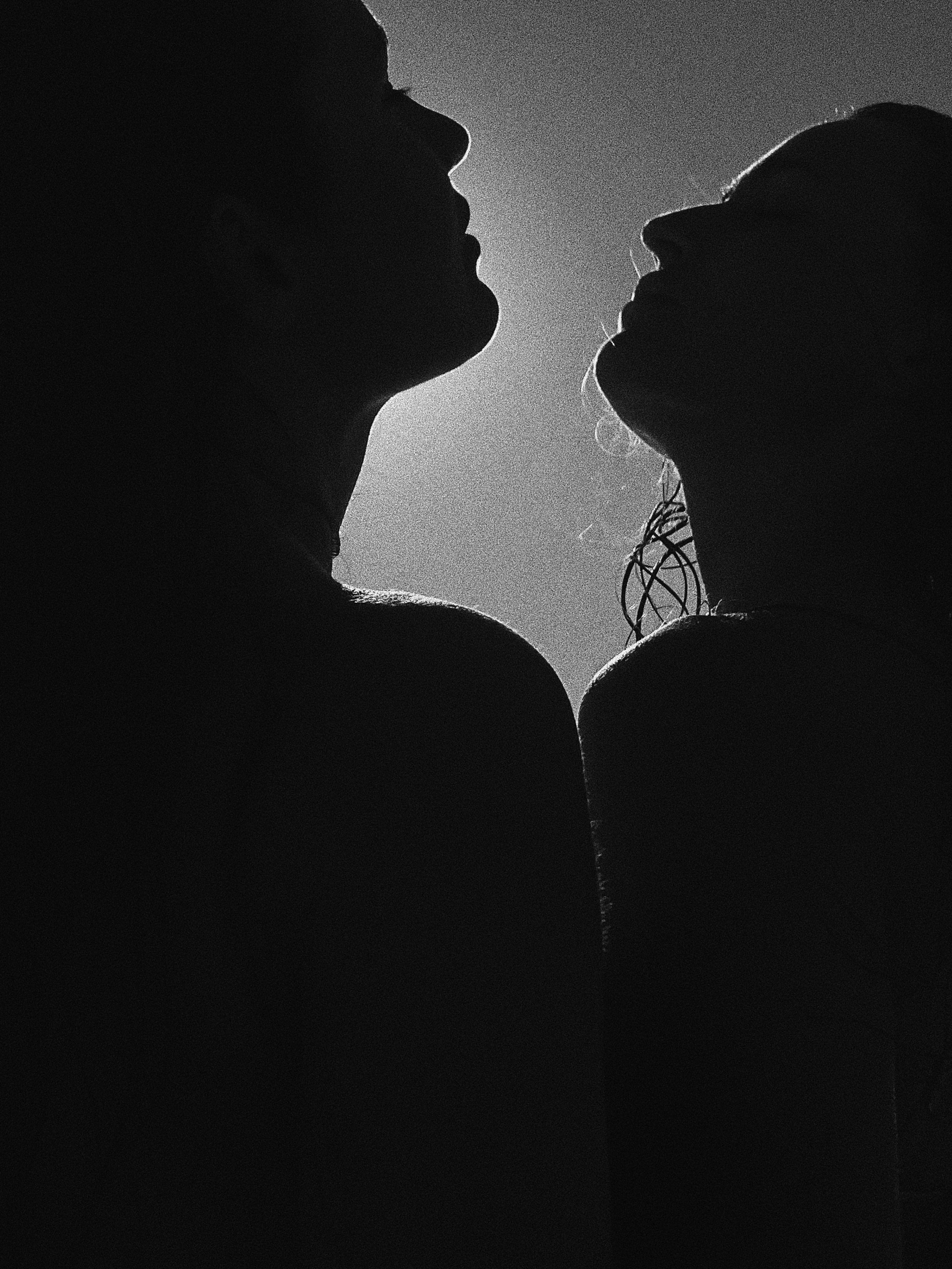 Paradiso. Carolinetru