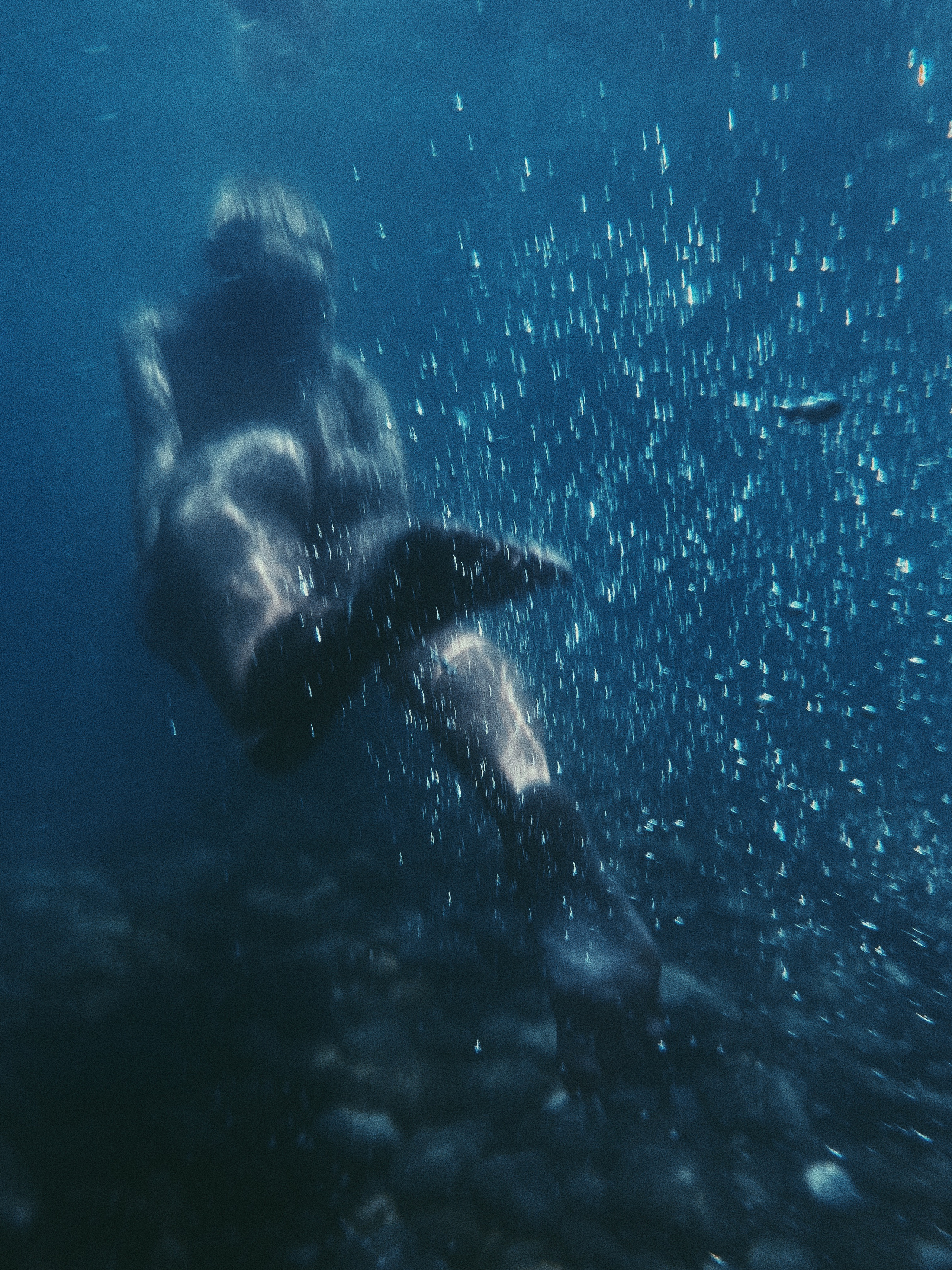 Underwater. Carolinetru