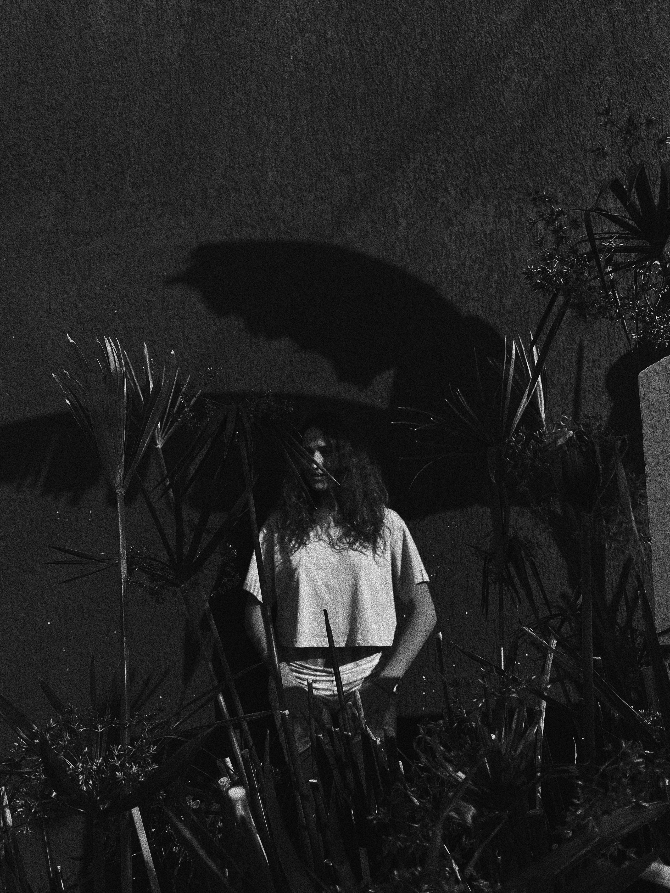 Paradiso. Carolinetru