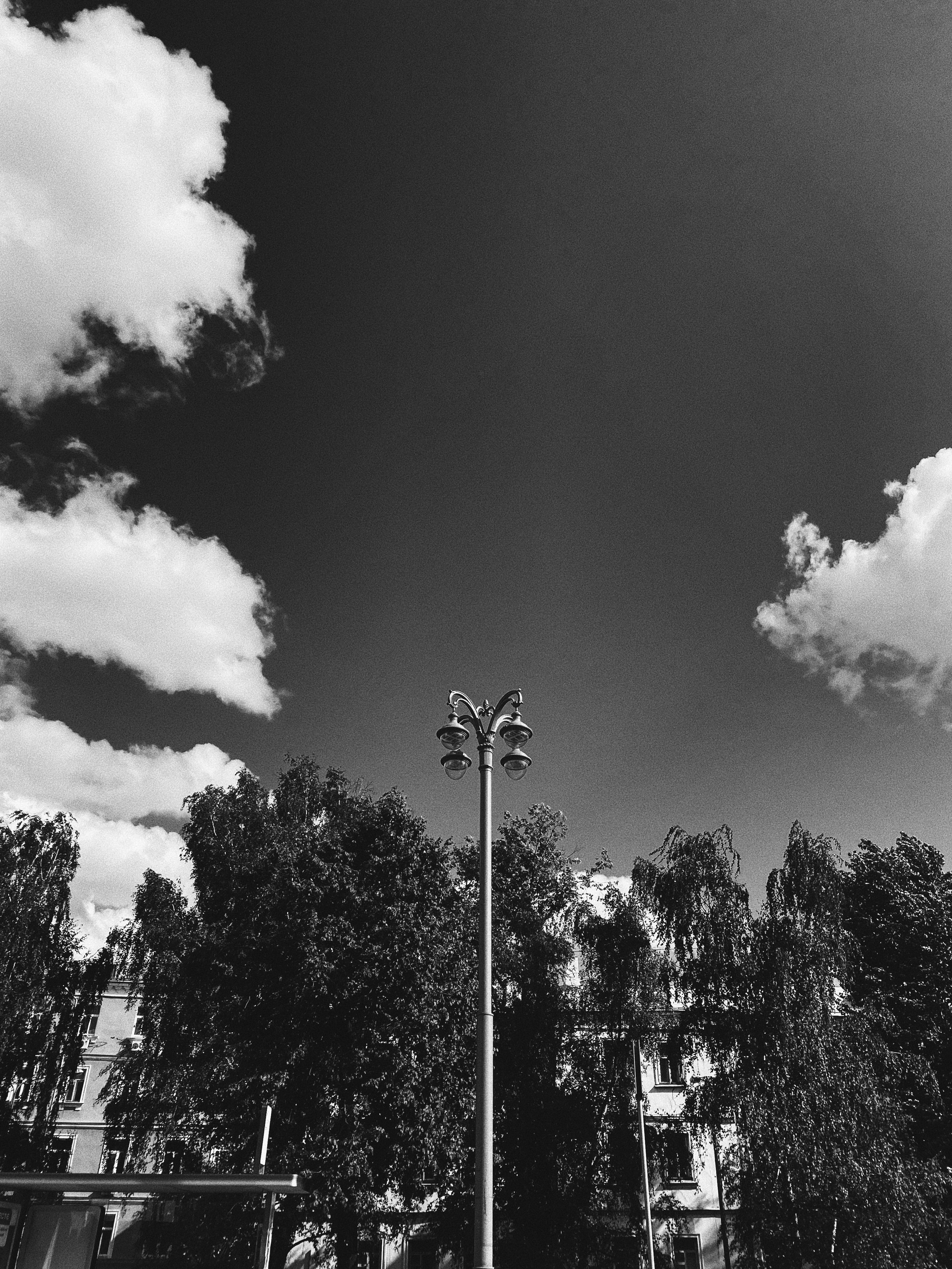 Étrangers. Carolinetru