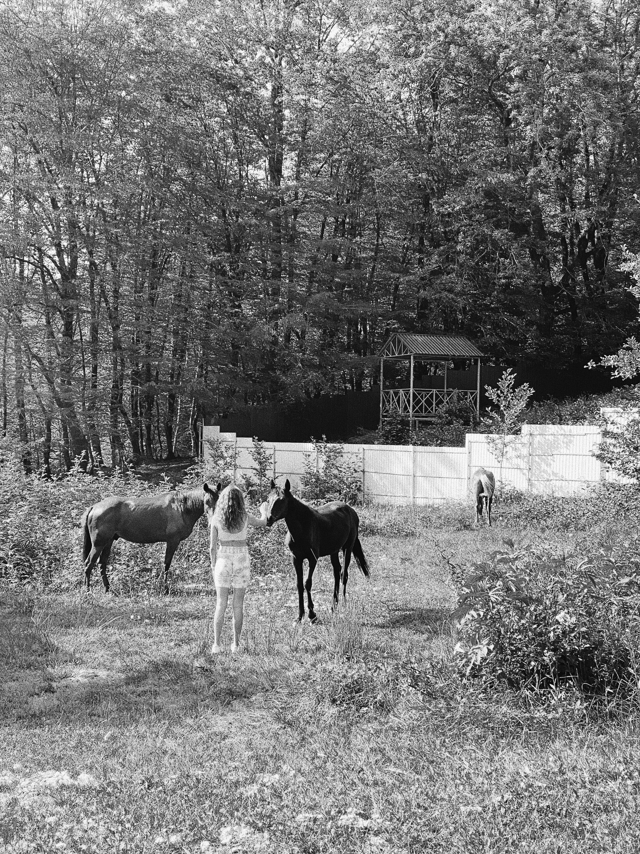 Paradiso. Carolinetru