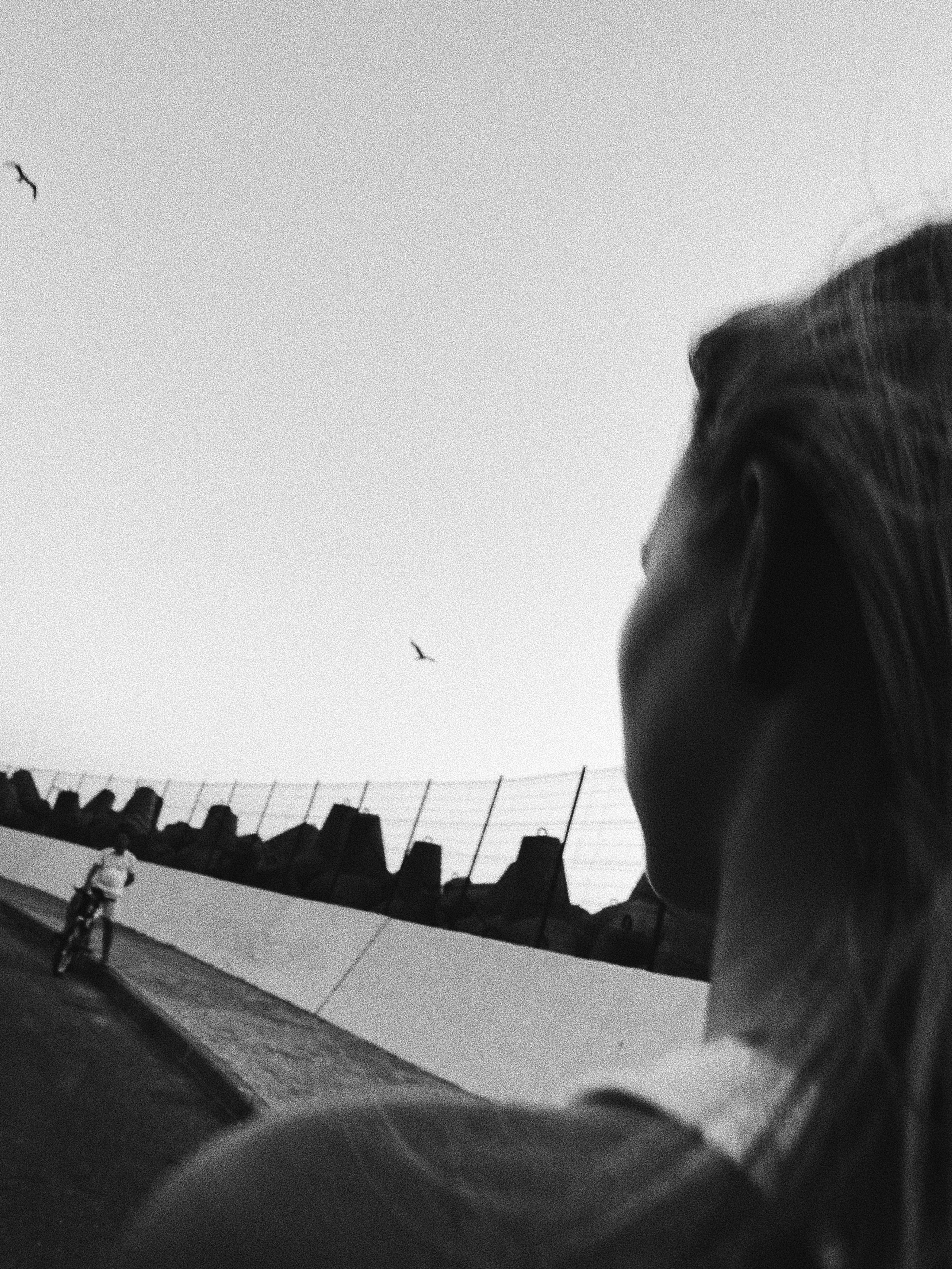 Sunset raice. Carolinetru