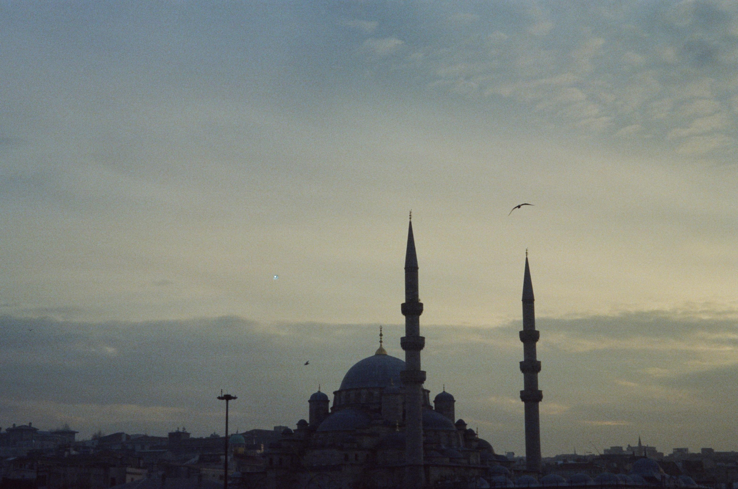 Istanbul. Carolinetru