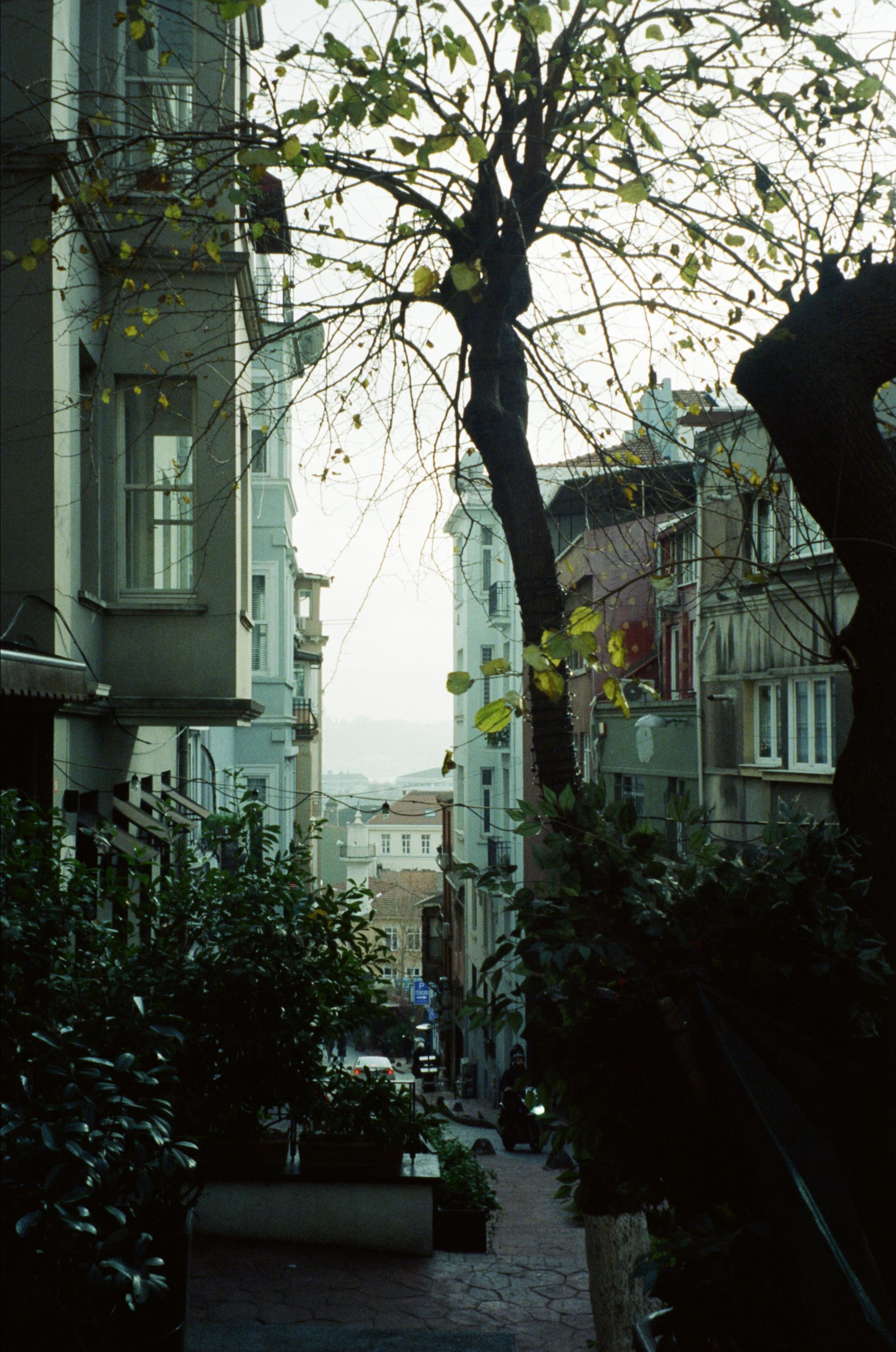 Istanbul. Carolinetru