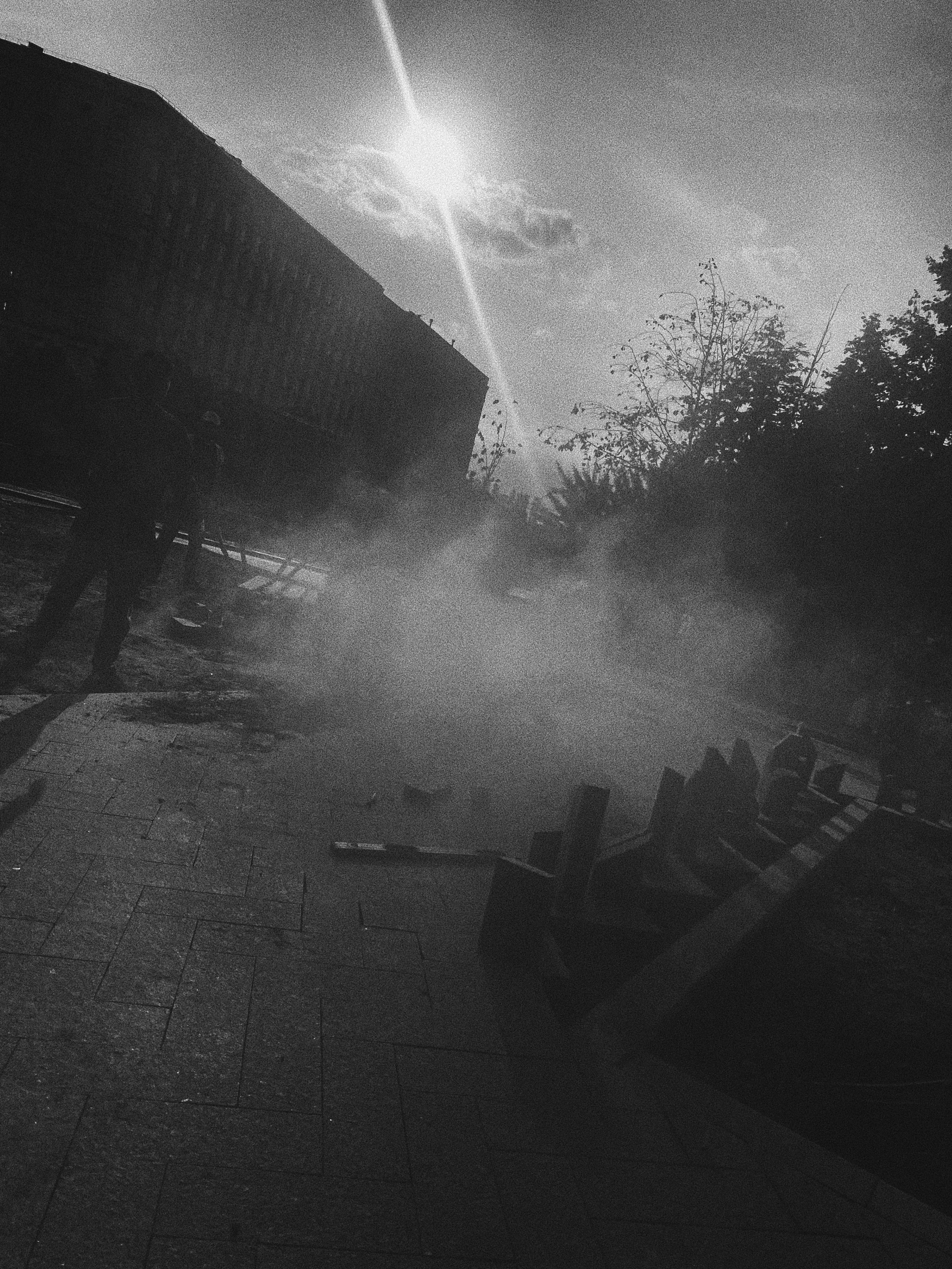 Étrangers. Carolinetru