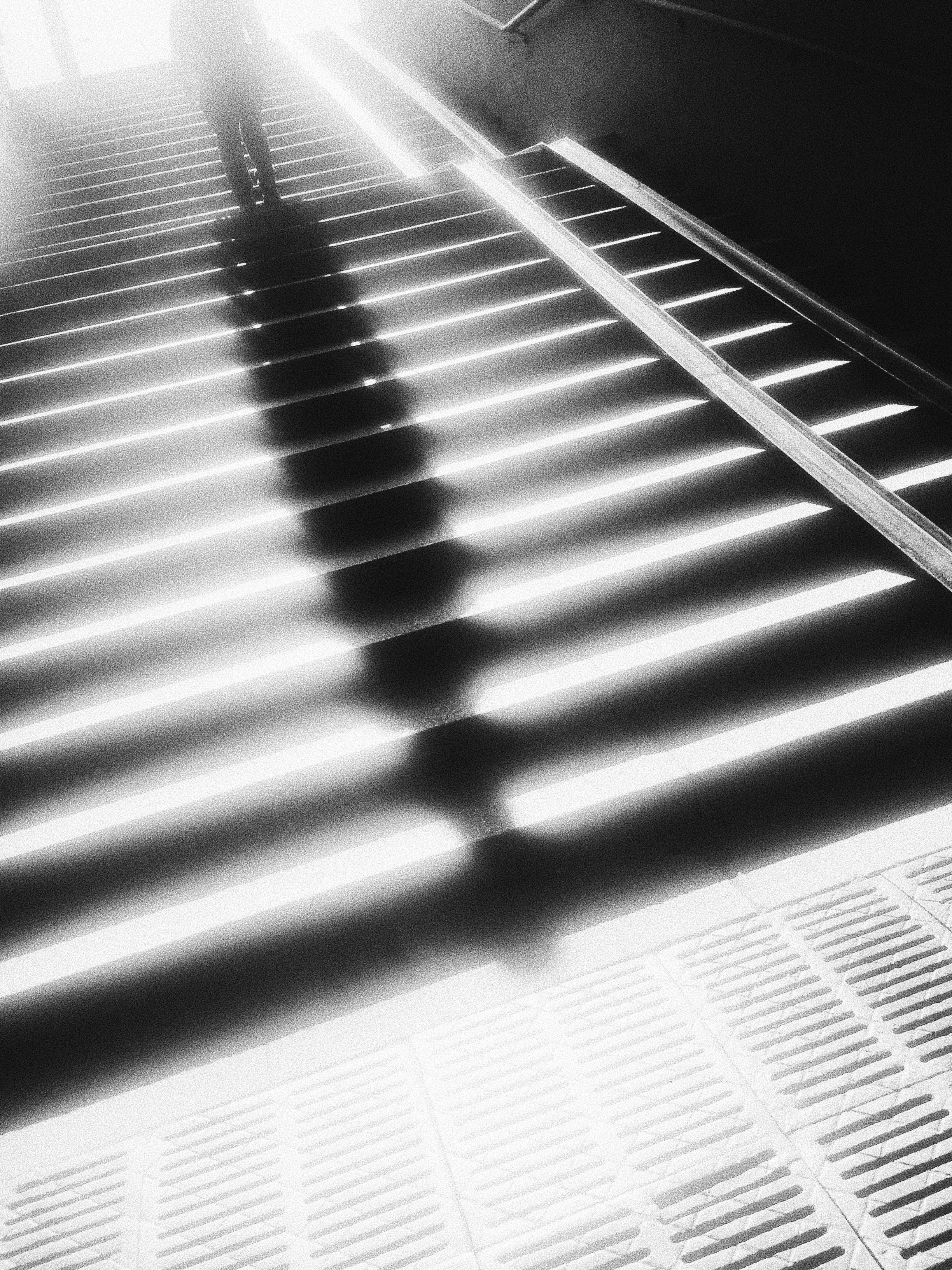 Étrangers. Carolinetru