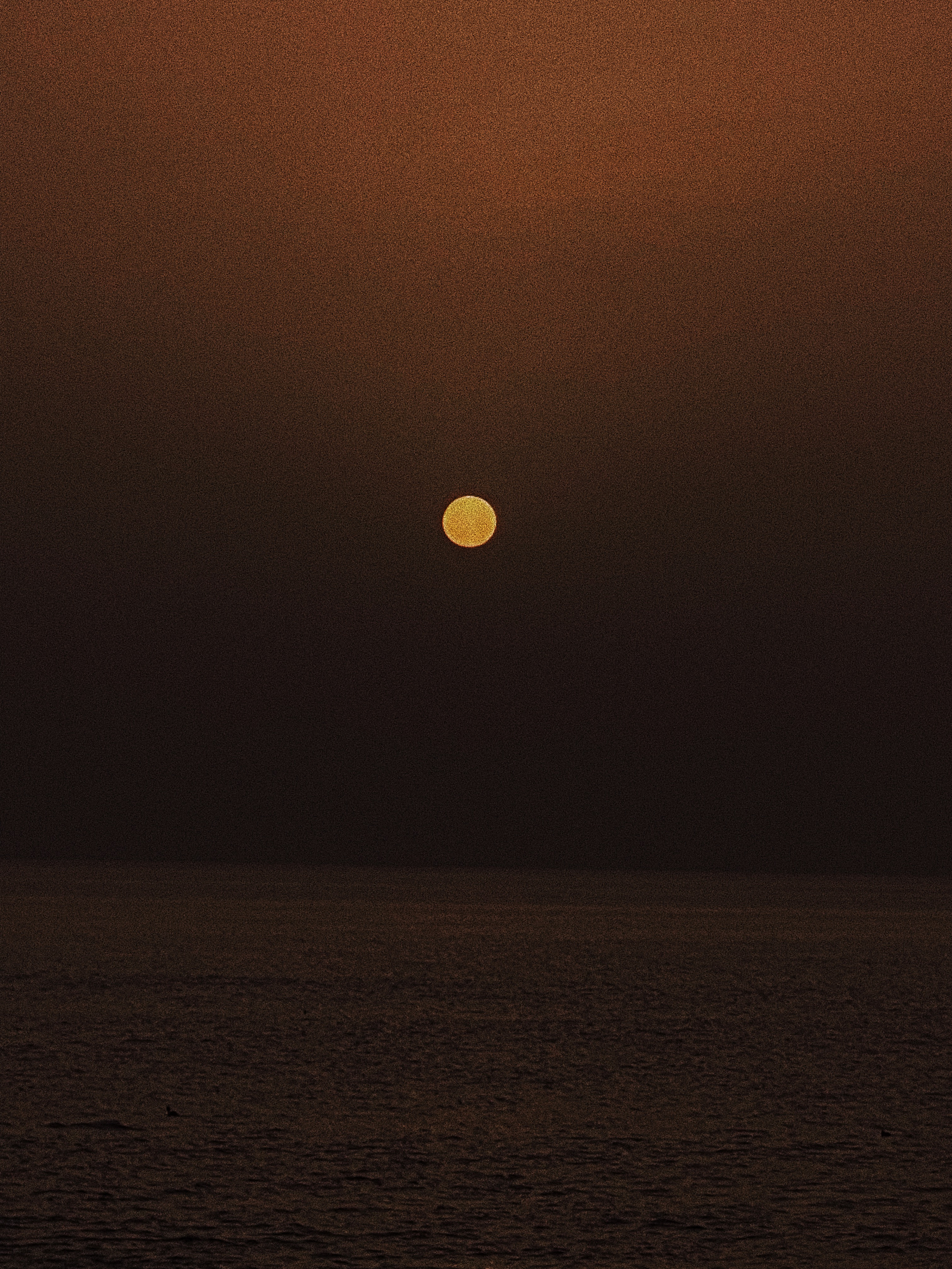 Take a piece. Carolinetru