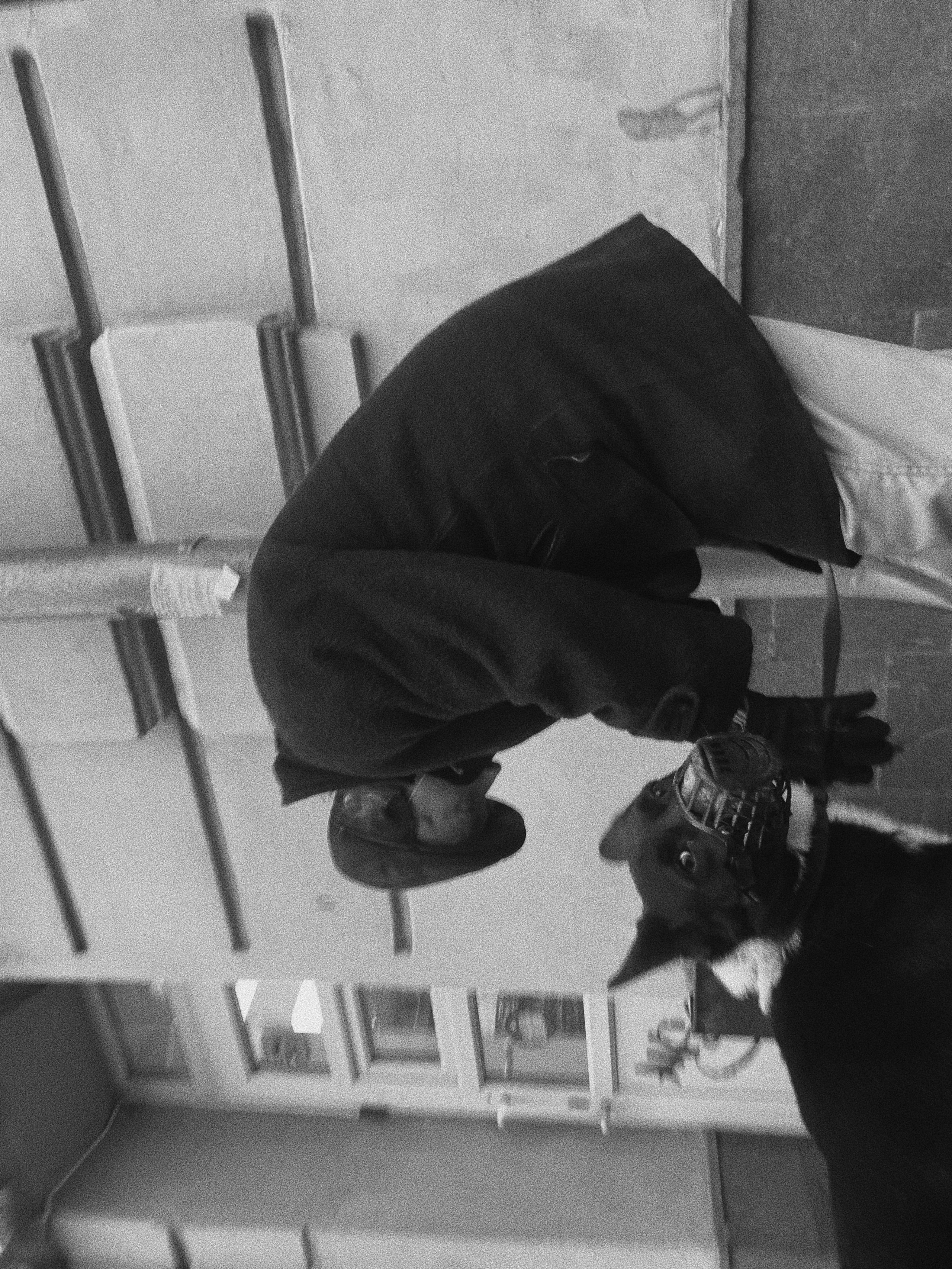 Étrangers. Carolinetru