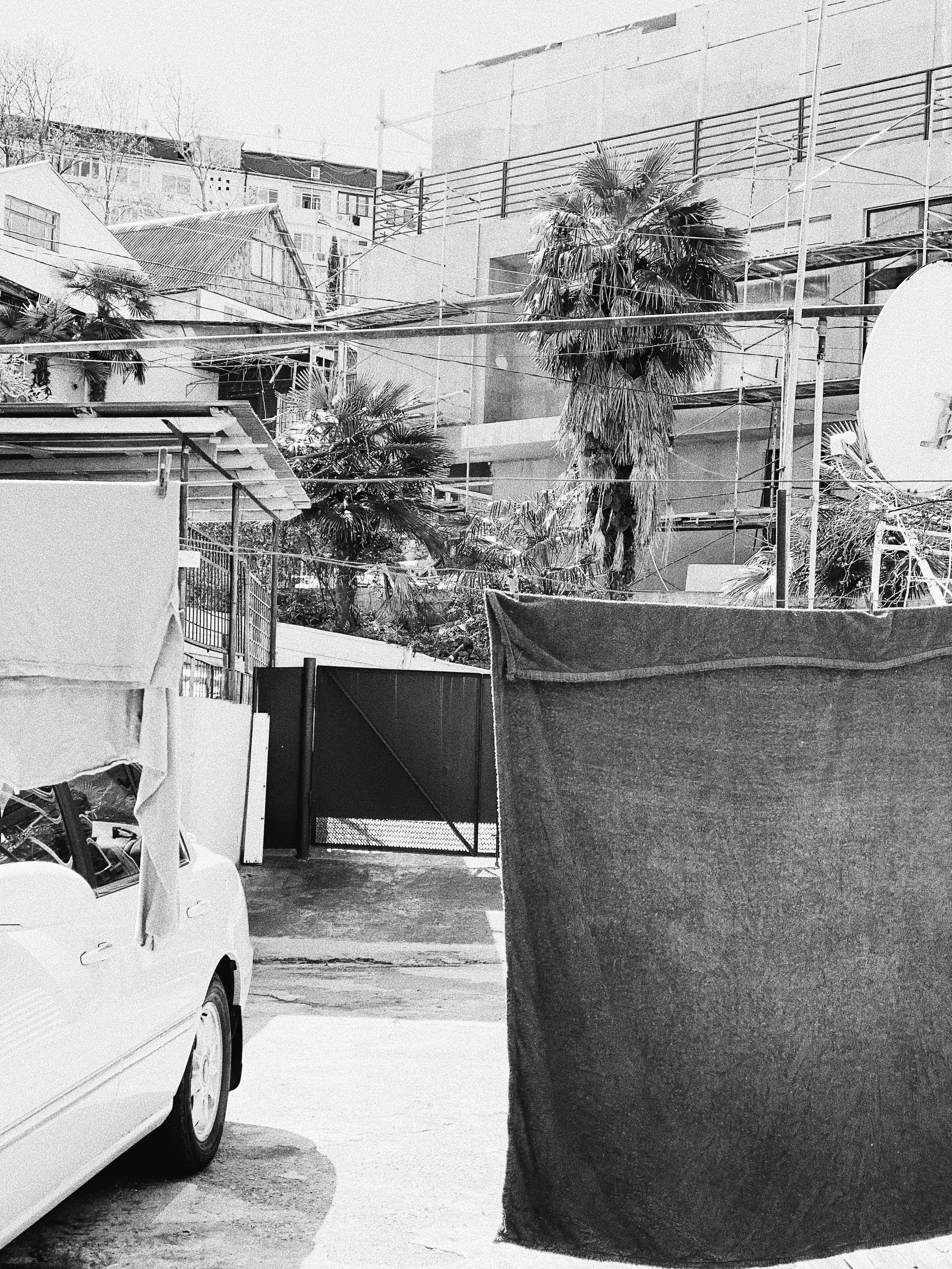 Étrangers. Carolinetru