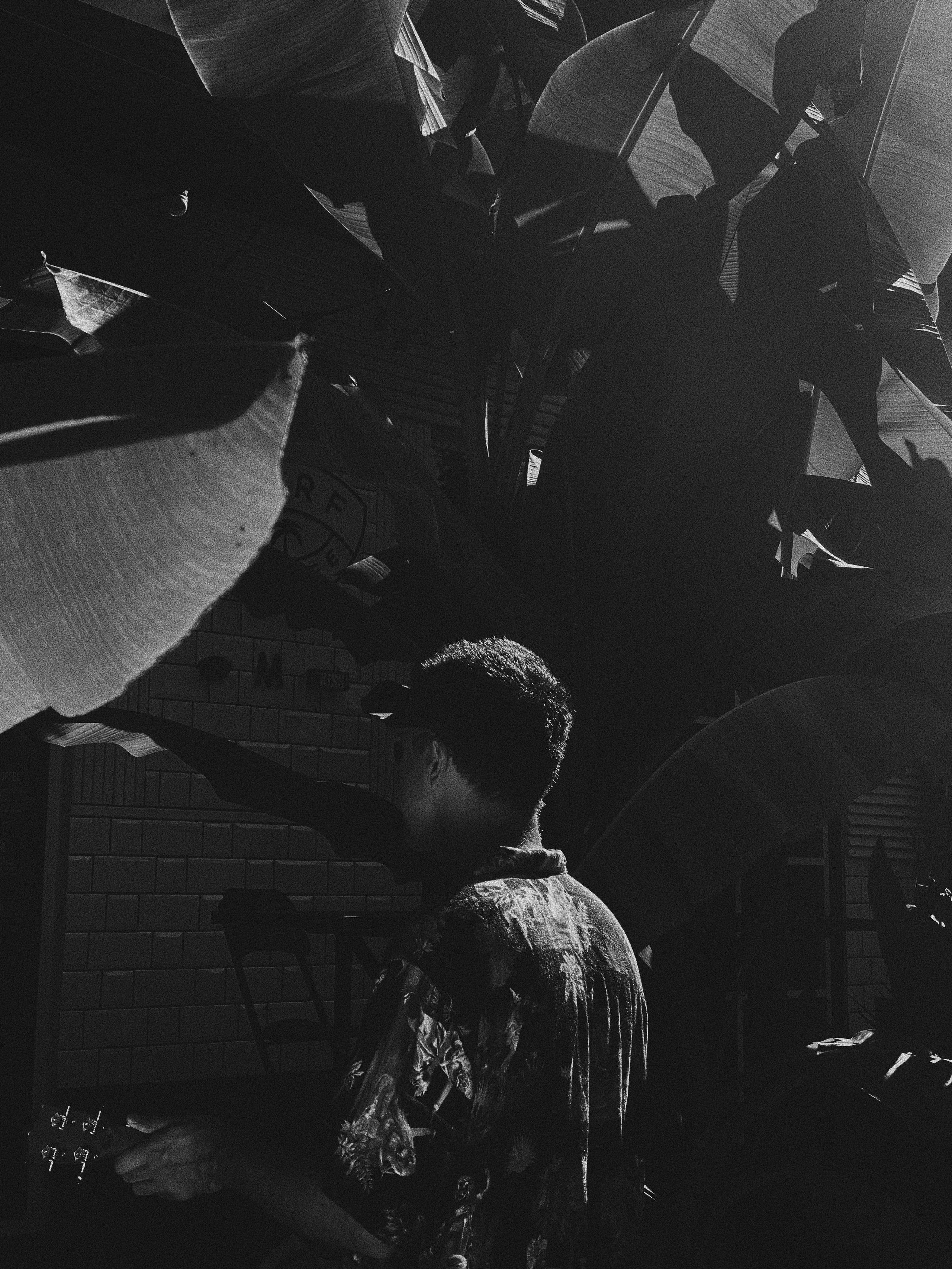 Paradiso. Carolinetru