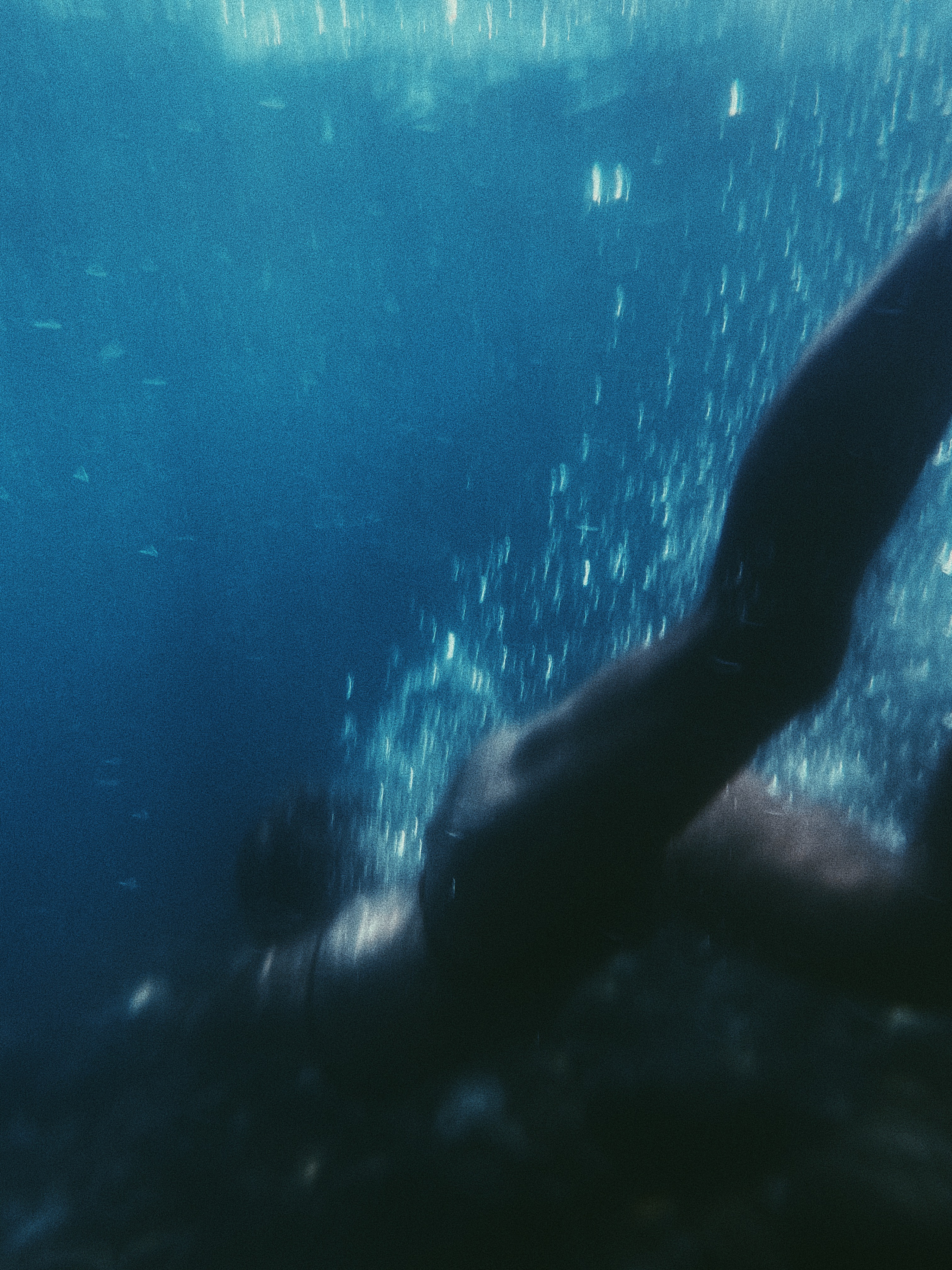 Underwater. Carolinetru