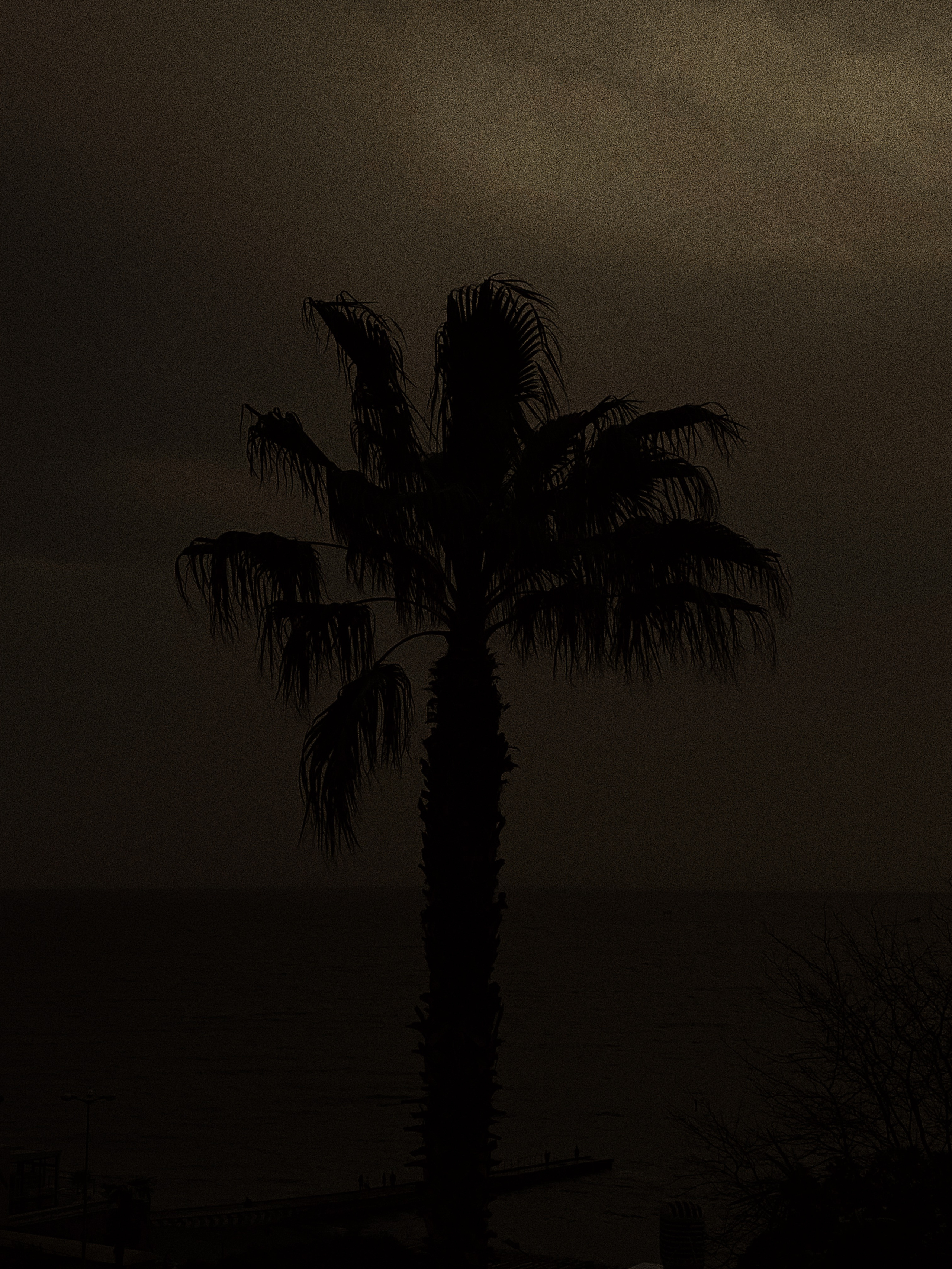 Take a piece. Carolinetru