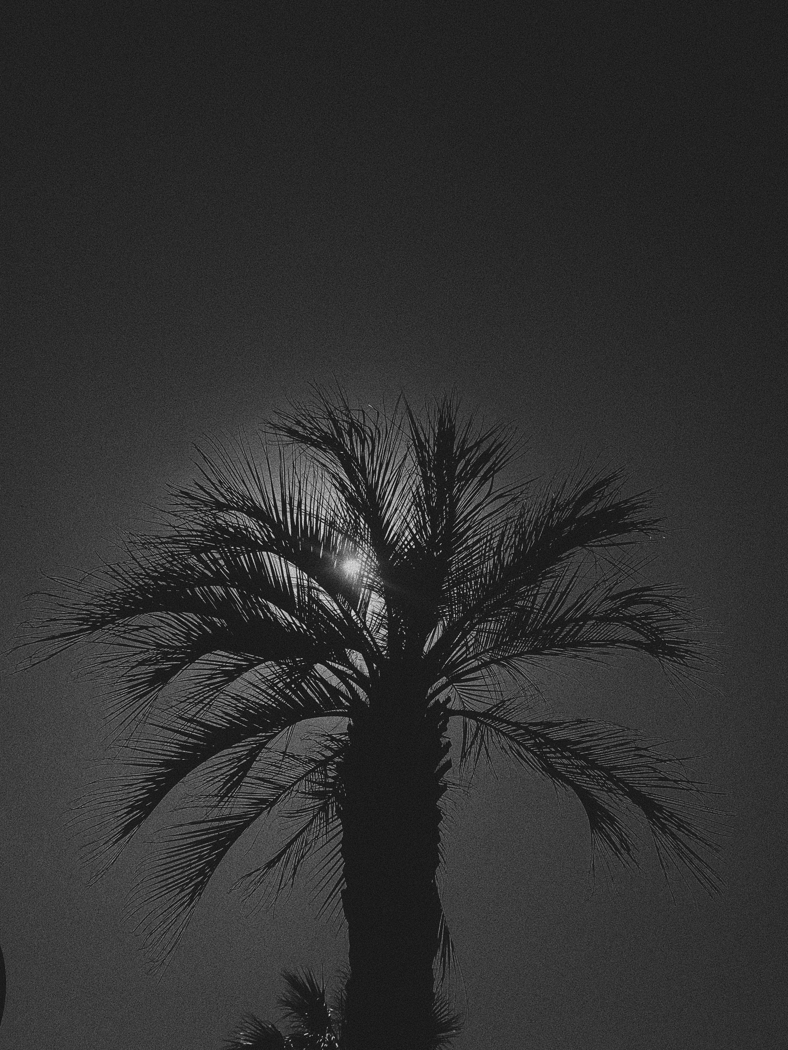 Take a piece. Carolinetru