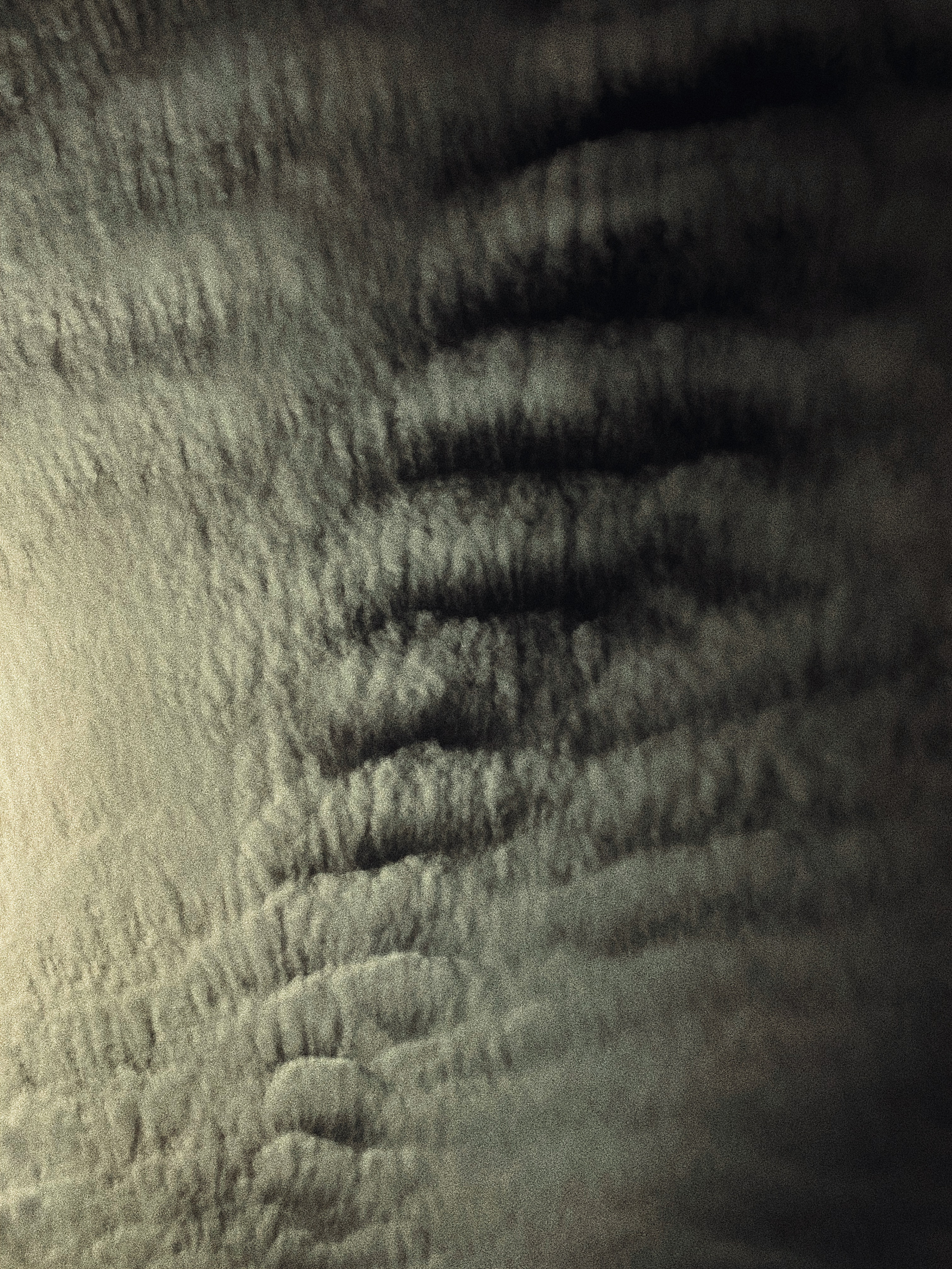 Take a piece. Carolinetru