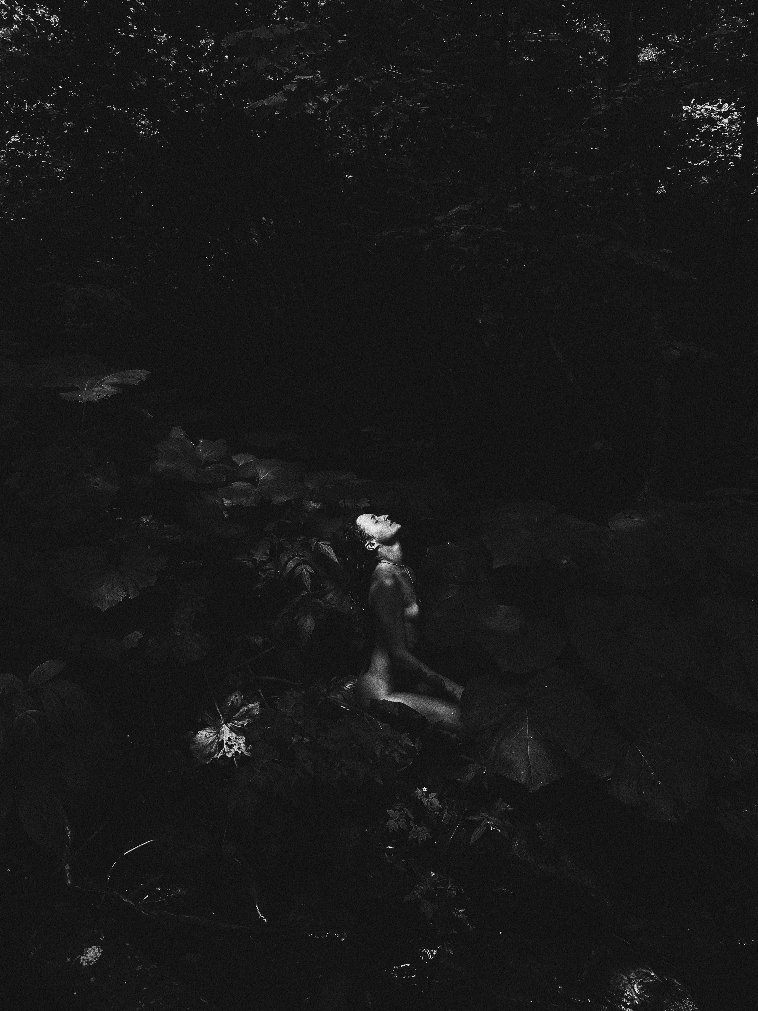 Paradiso. Carolinetru