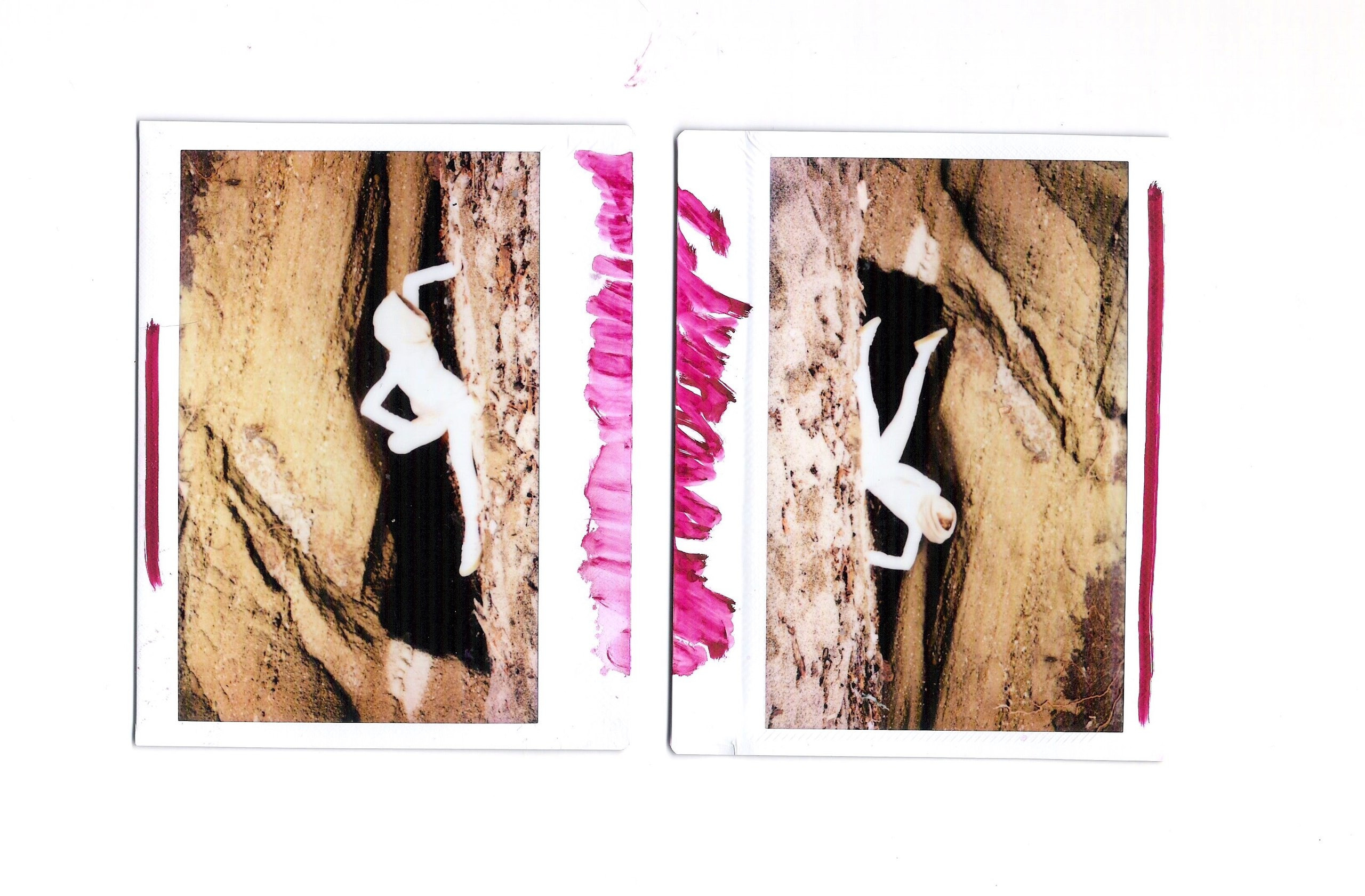 Polaroid. Carolinetru