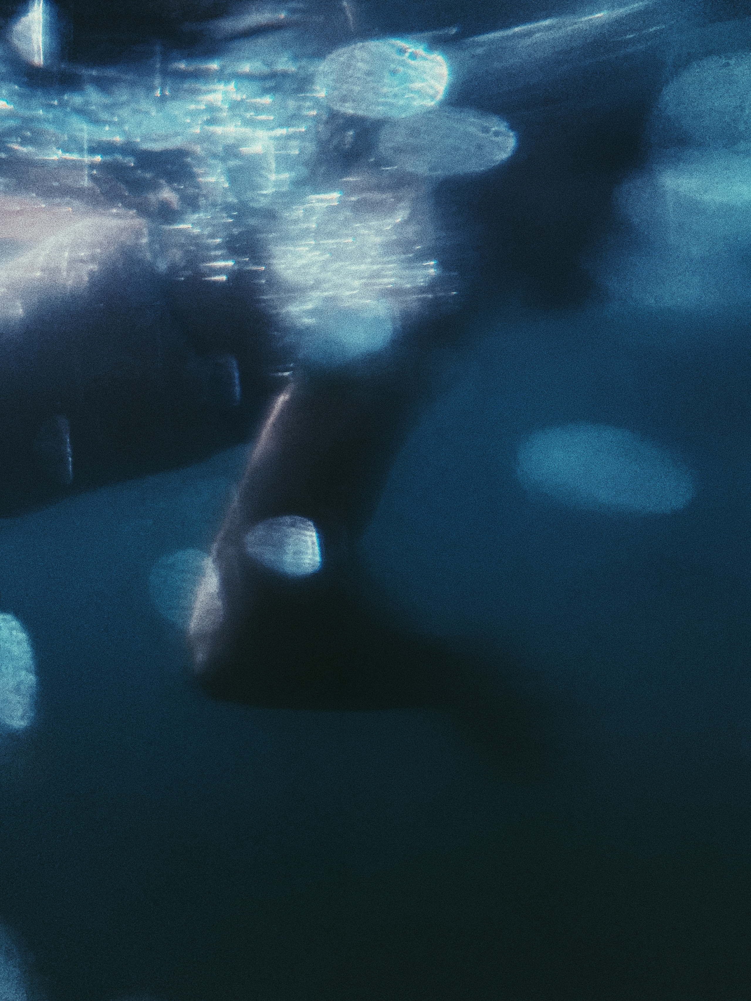 Underwater. Carolinetru