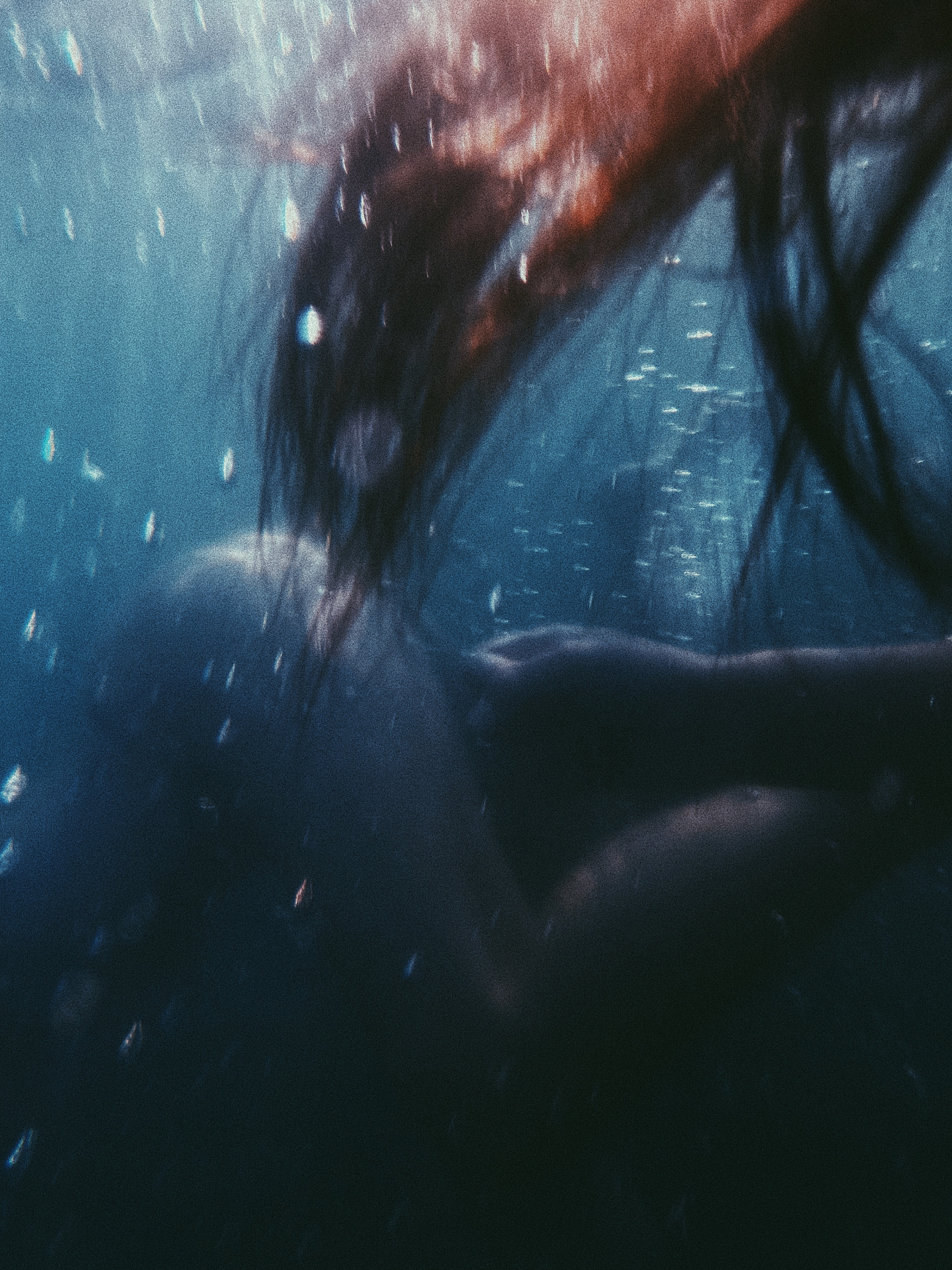 Underwater. Carolinetru