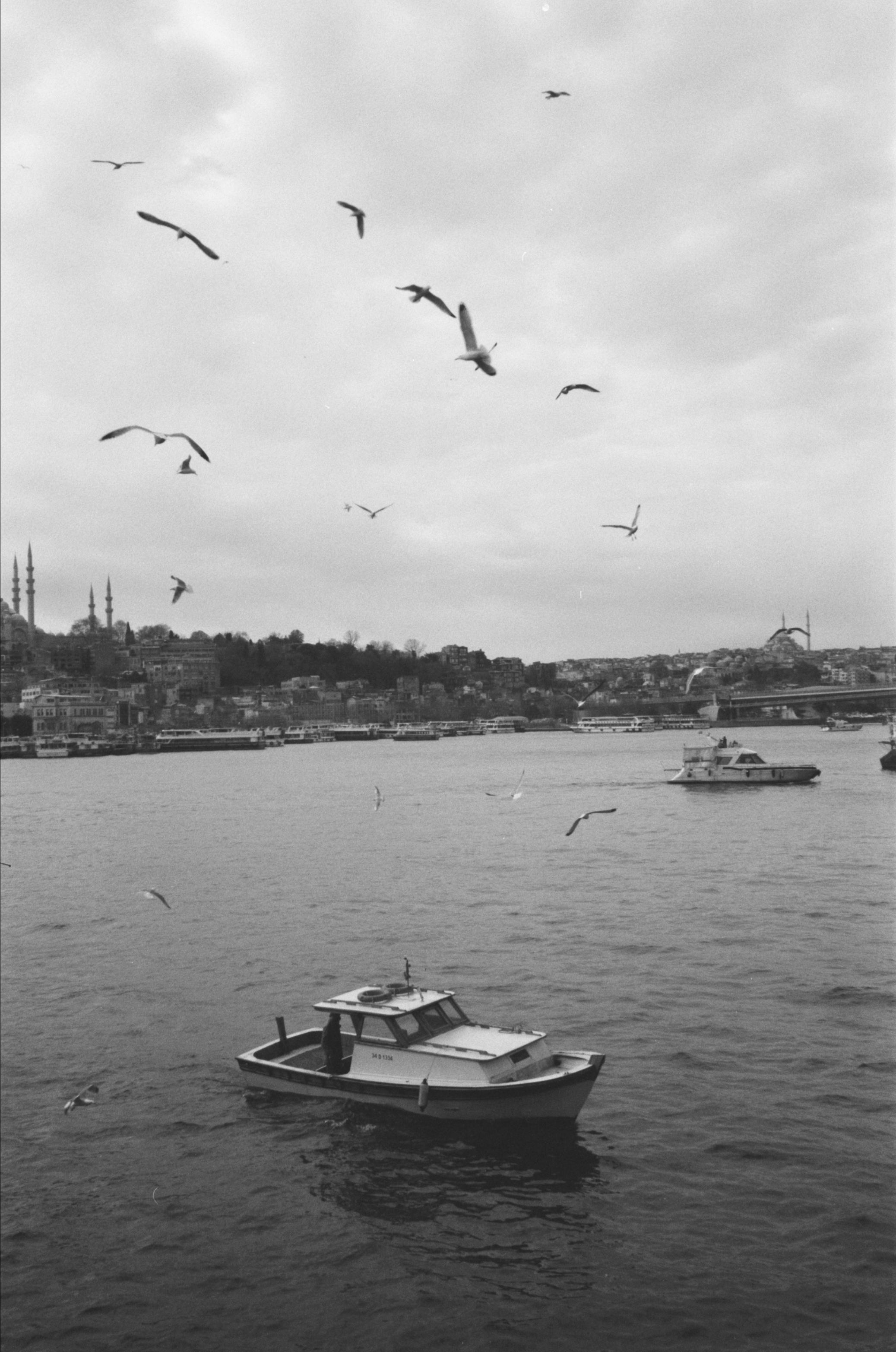 Istanbul. Carolinetru