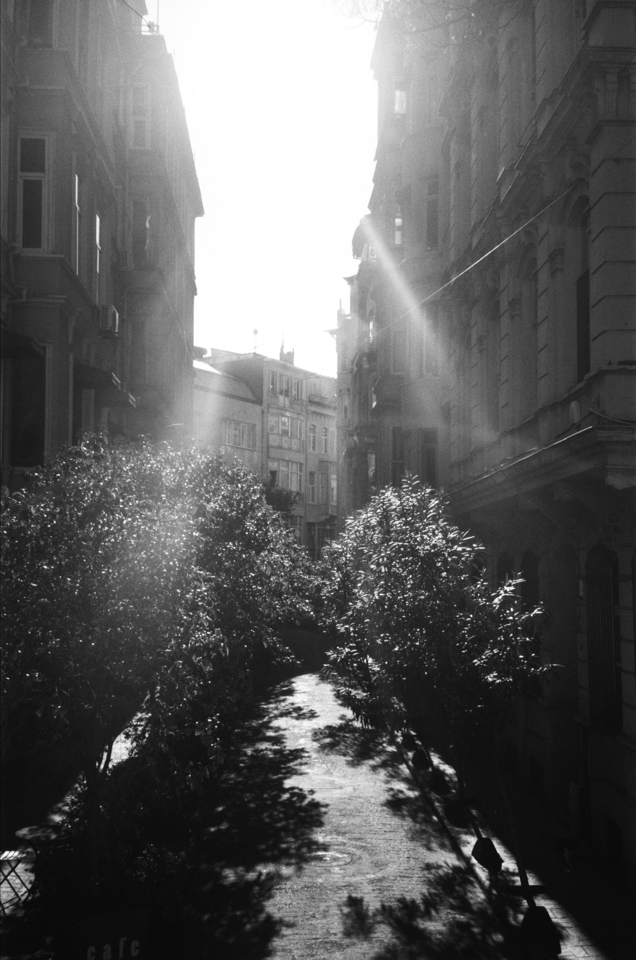 Istanbul. Carolinetru