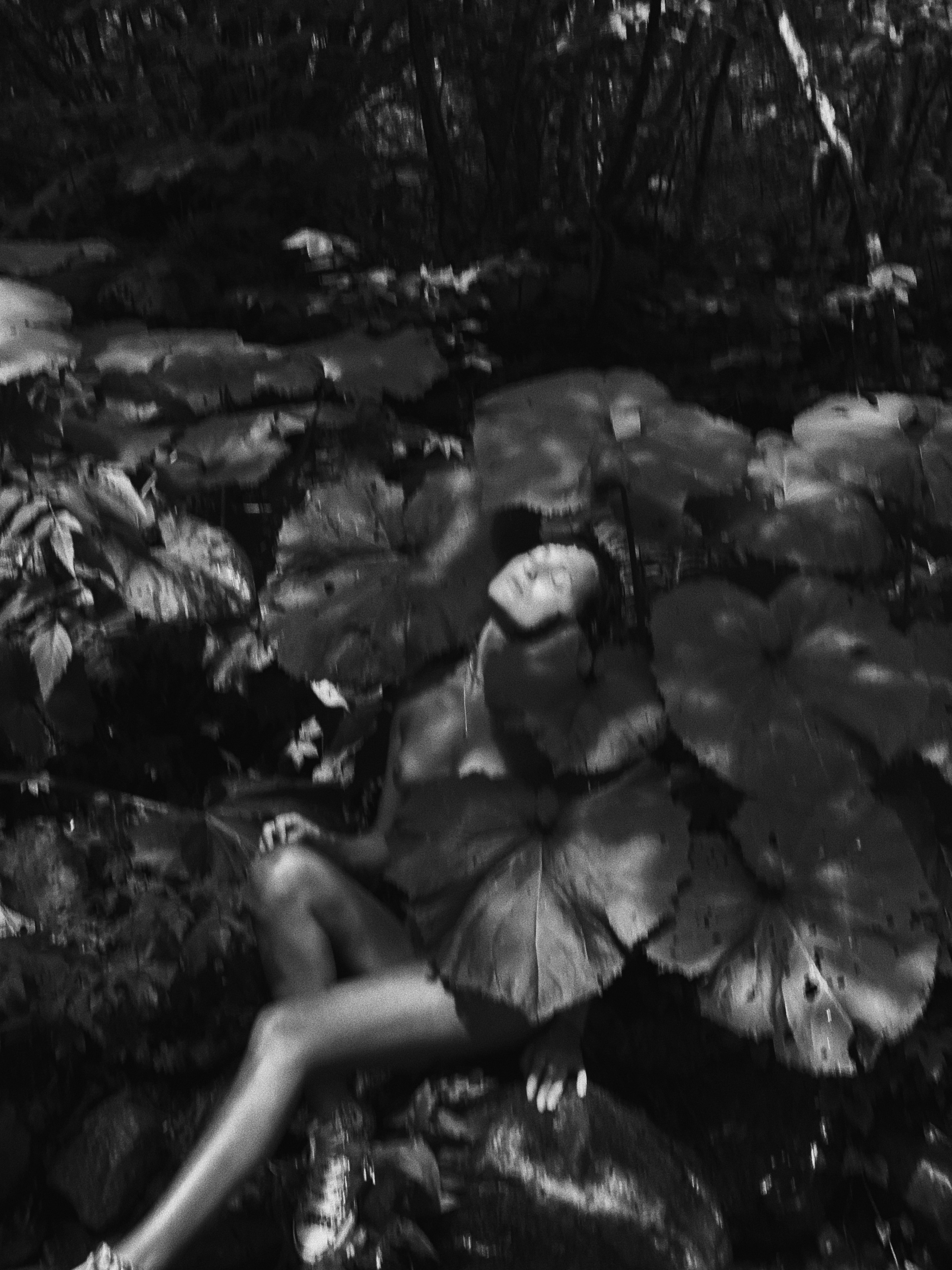 Paradiso. Carolinetru