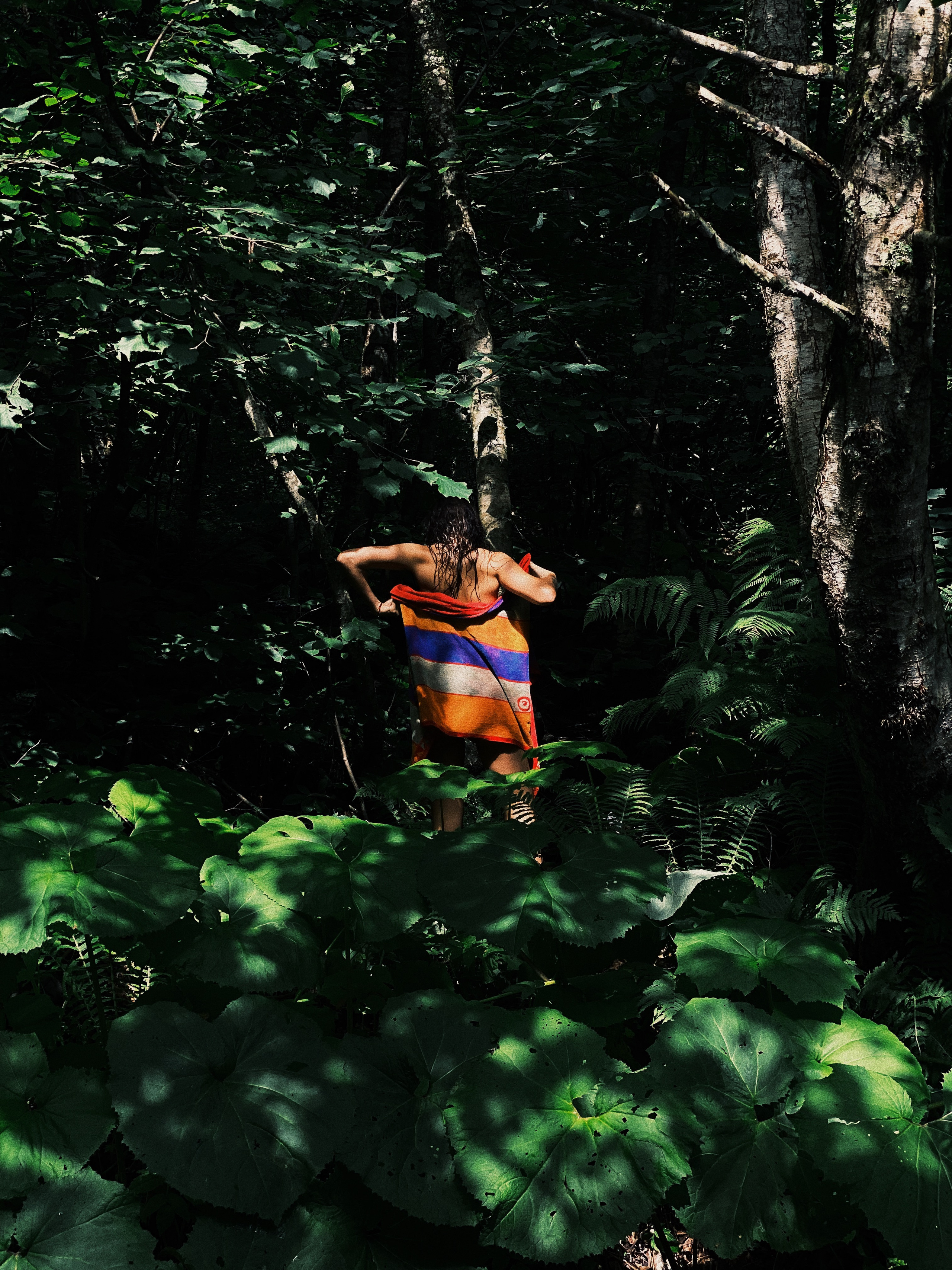 Paradiso. Carolinetru