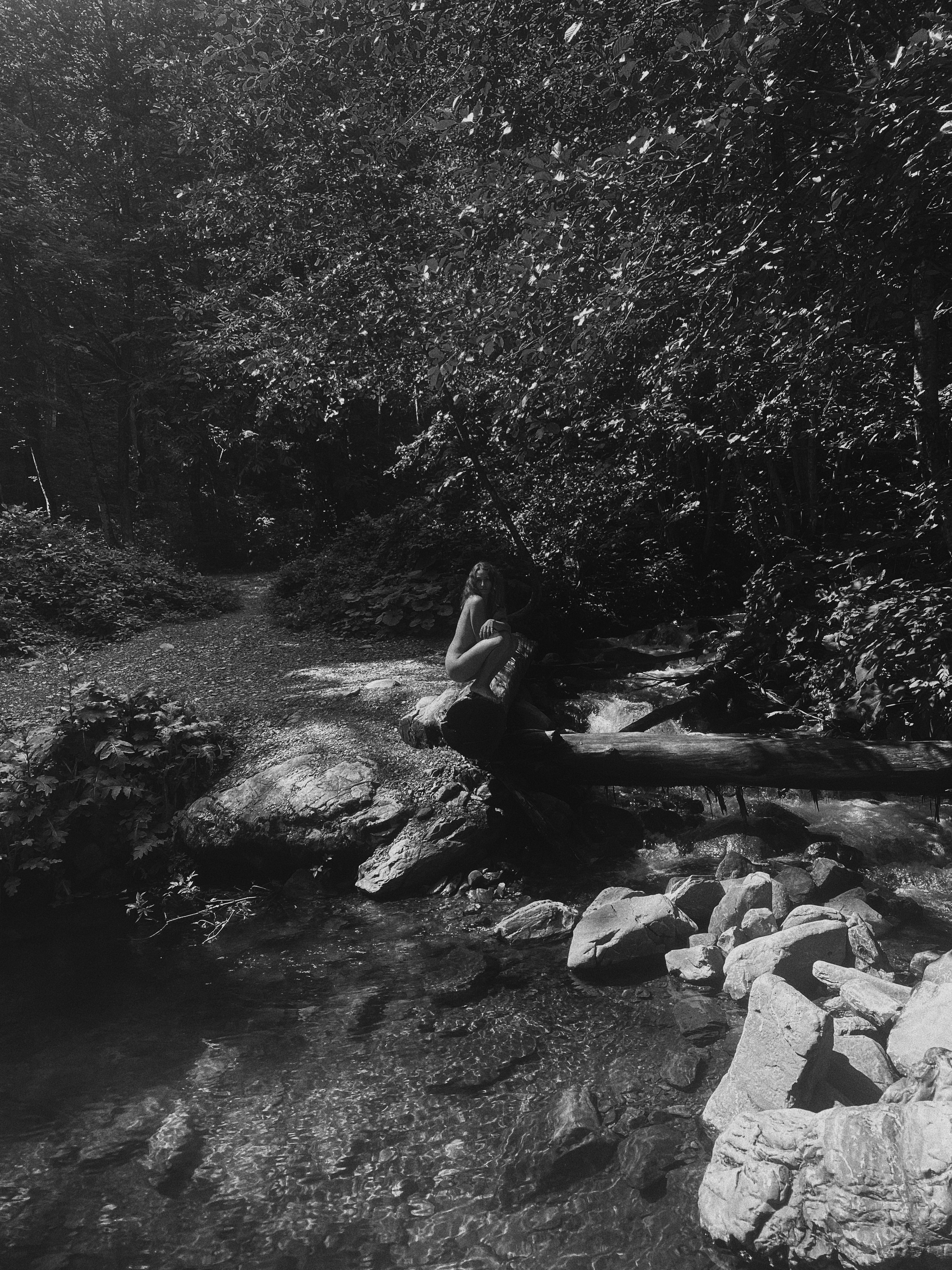 Paradiso. Carolinetru