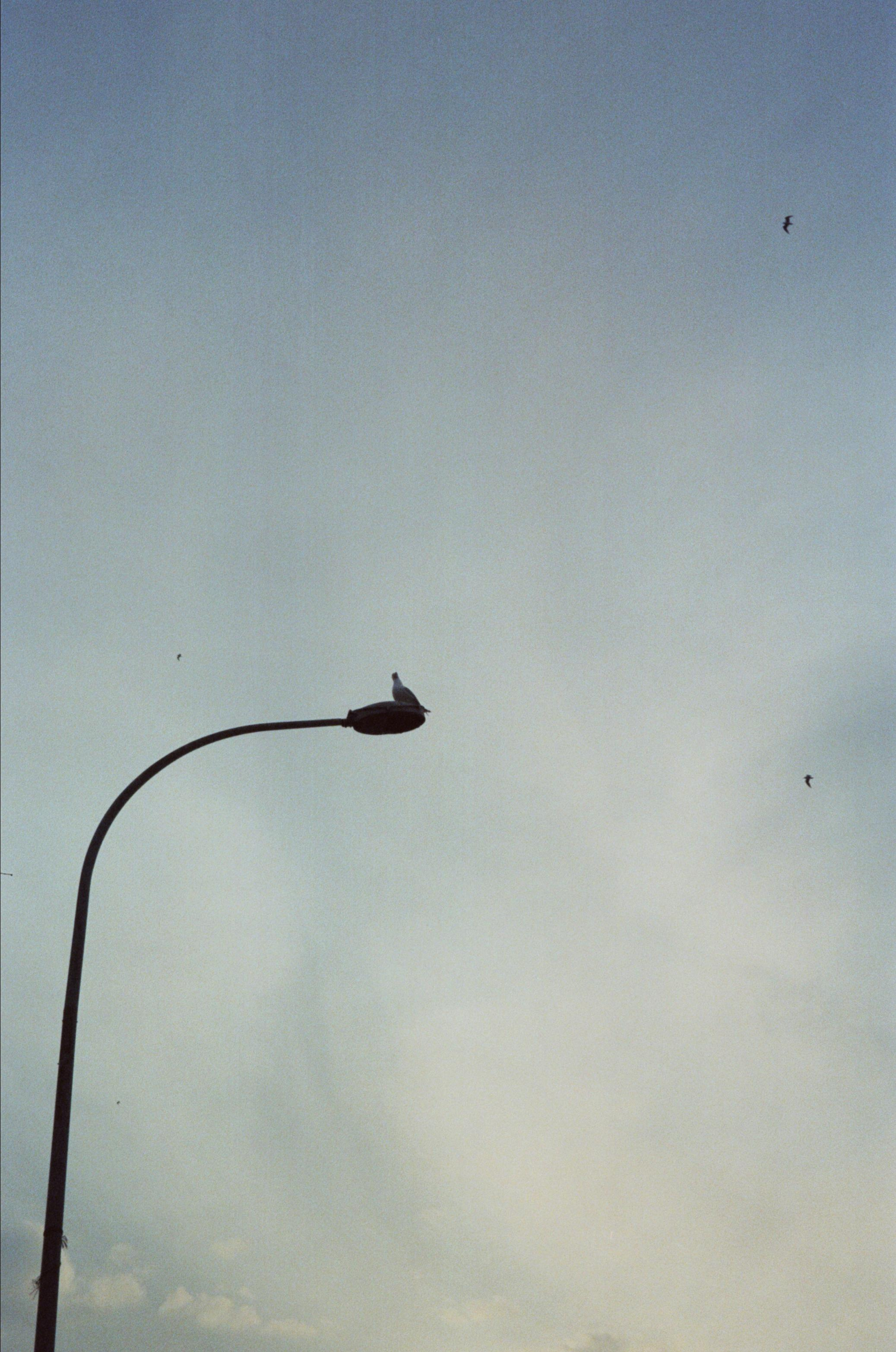 Istanbul. Carolinetru