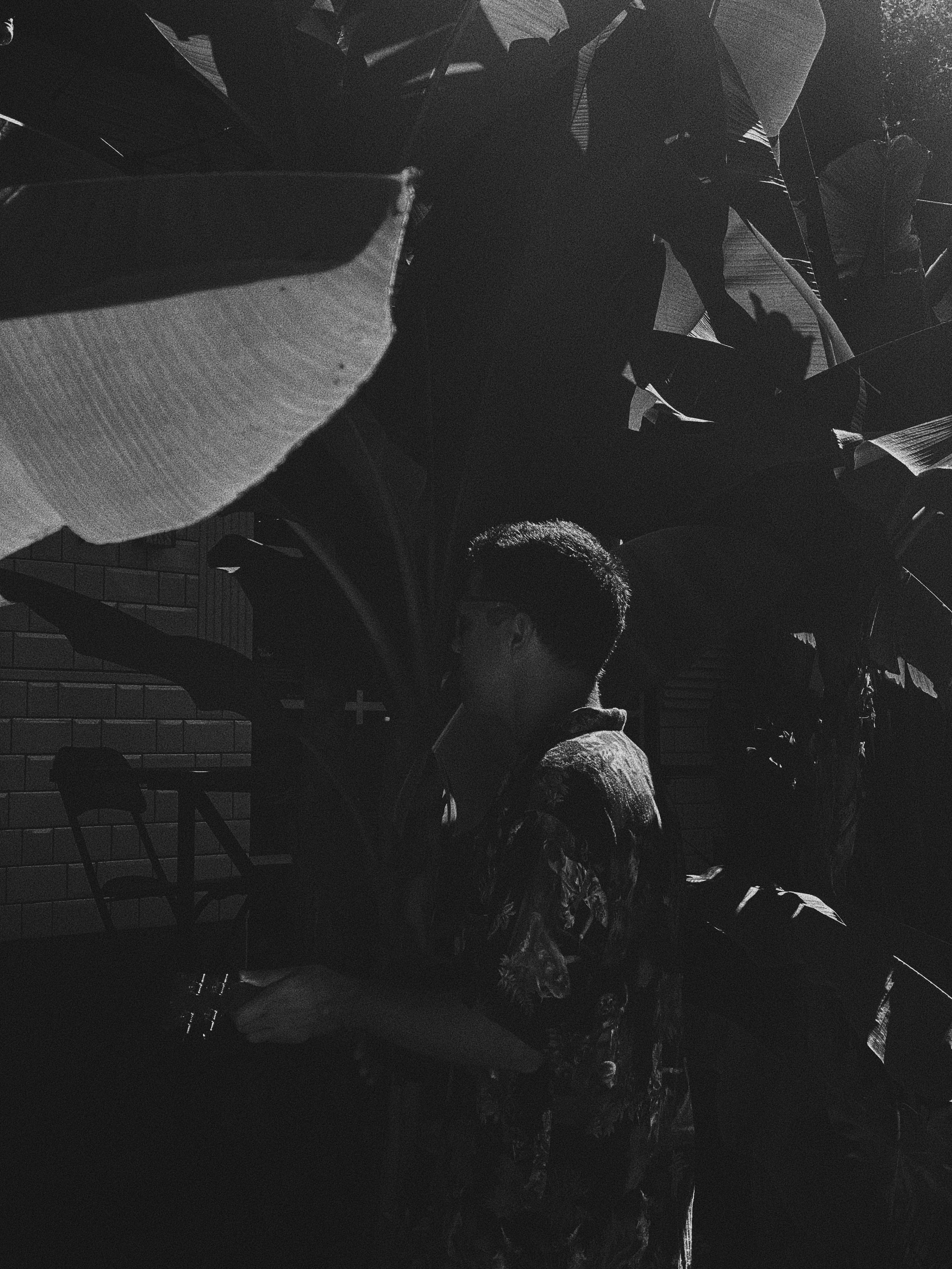 Paradiso. Carolinetru