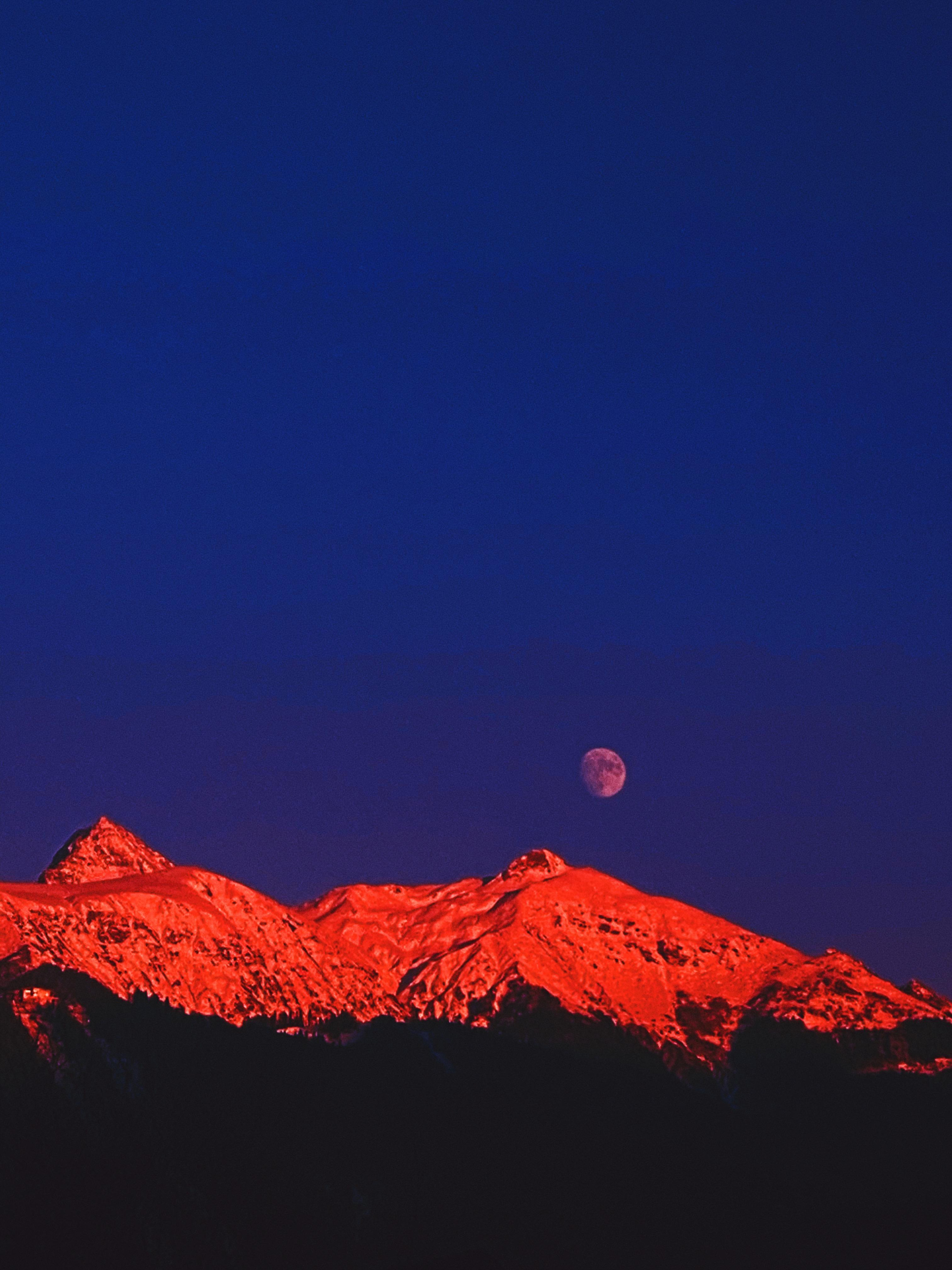 Take a piece. Carolinetru