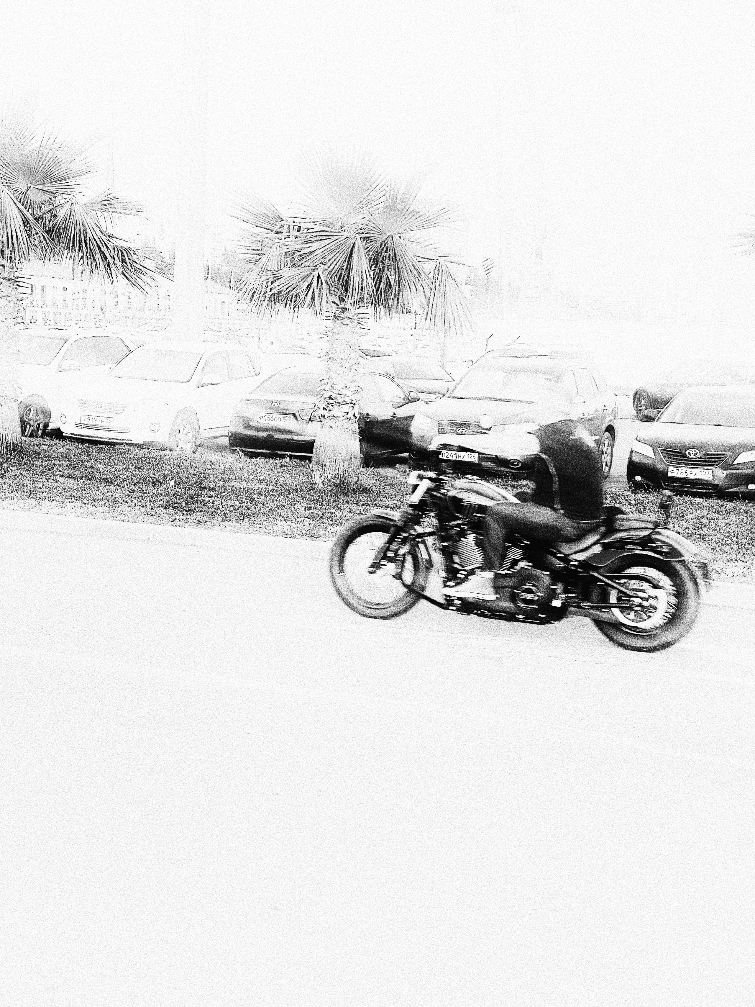 Étrangers. Carolinetru