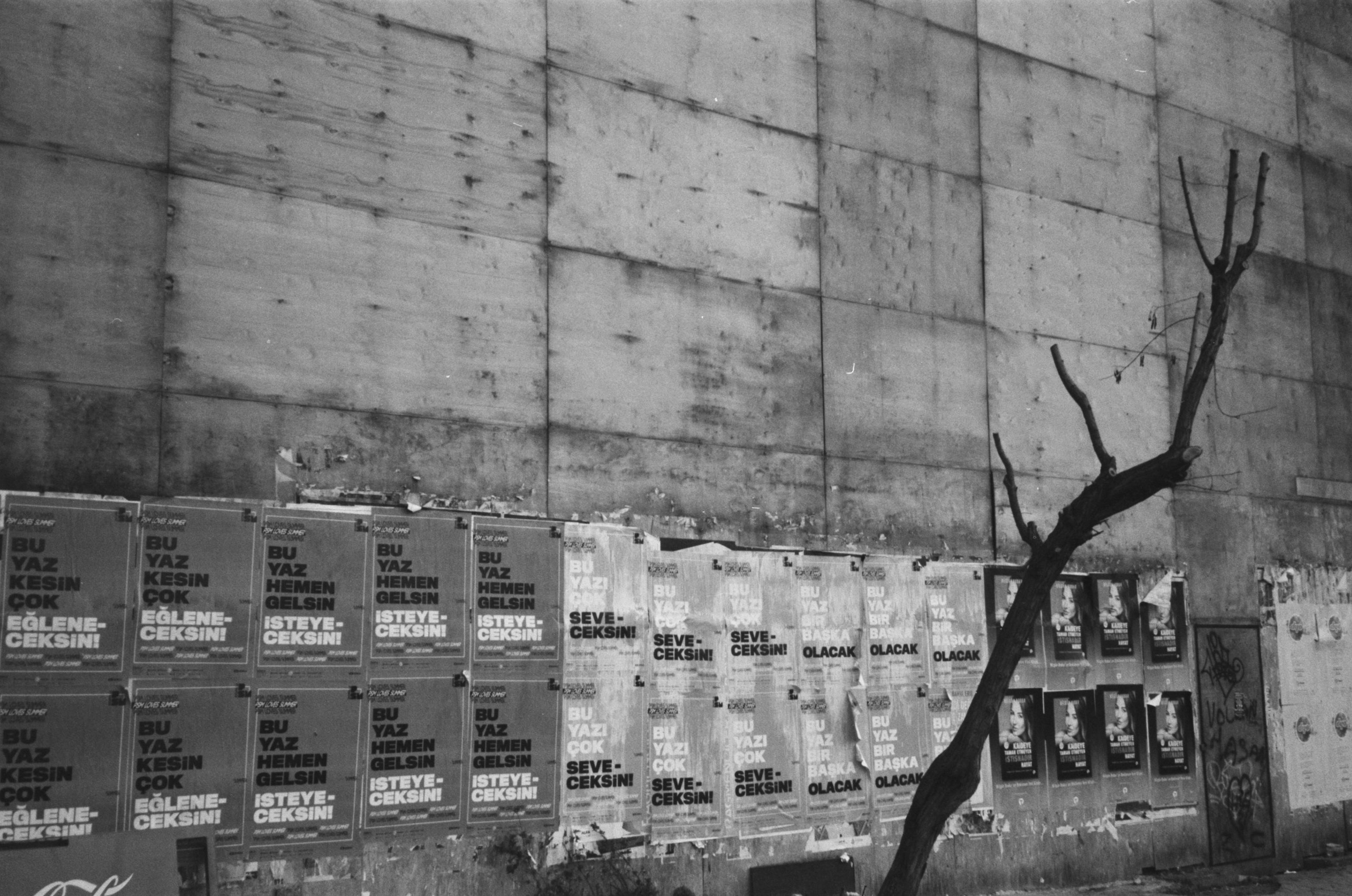 Istanbul. Carolinetru