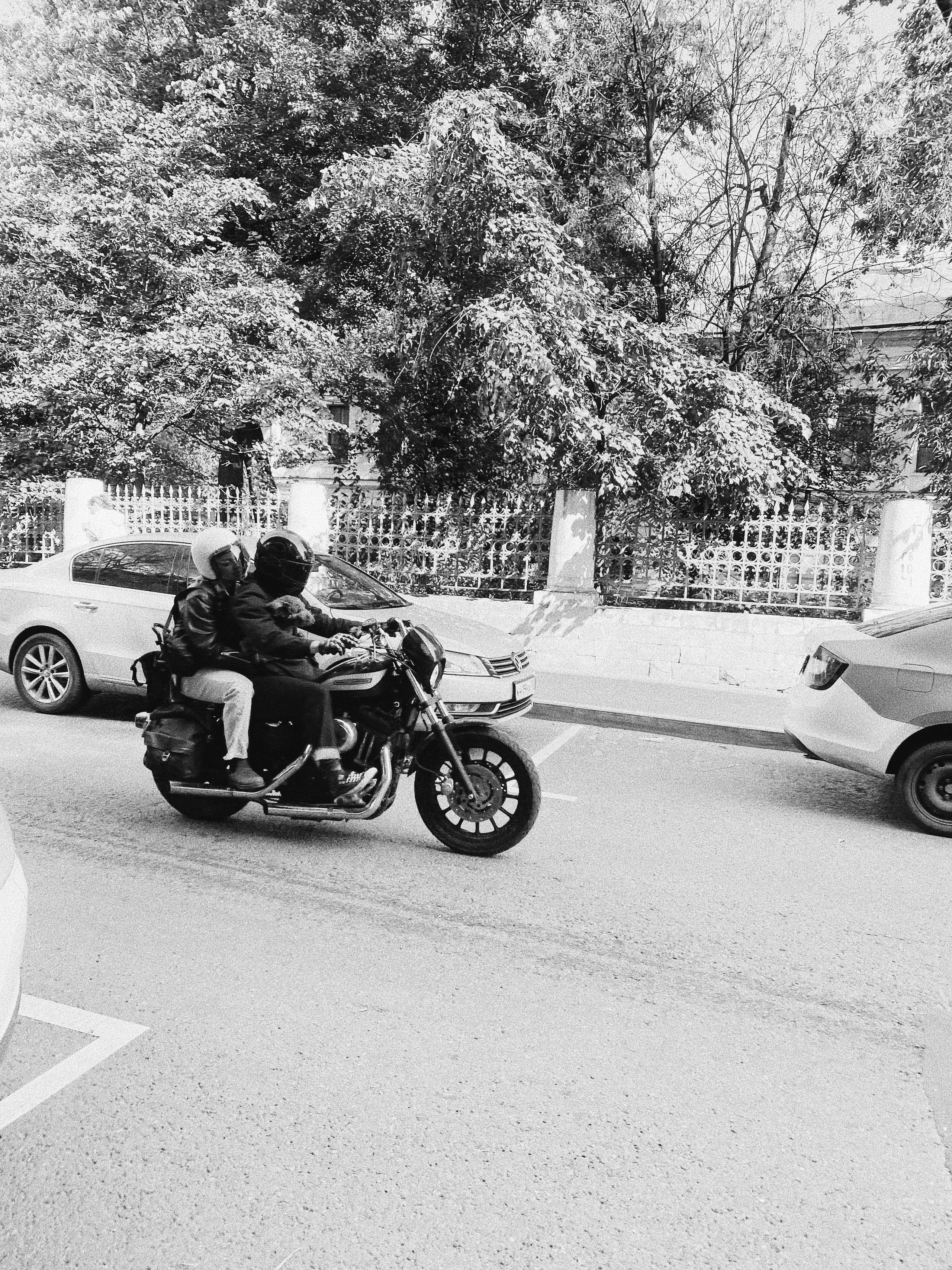 Étrangers. Carolinetru