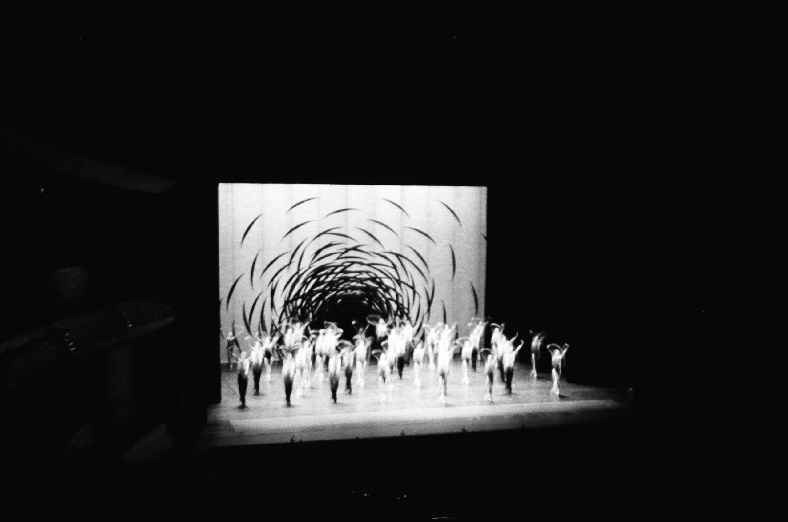 Étrangers. Carolinetru