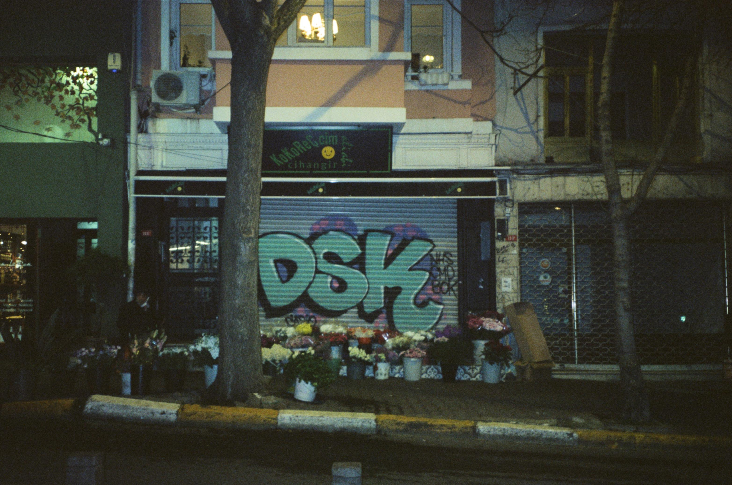 Istanbul. Carolinetru