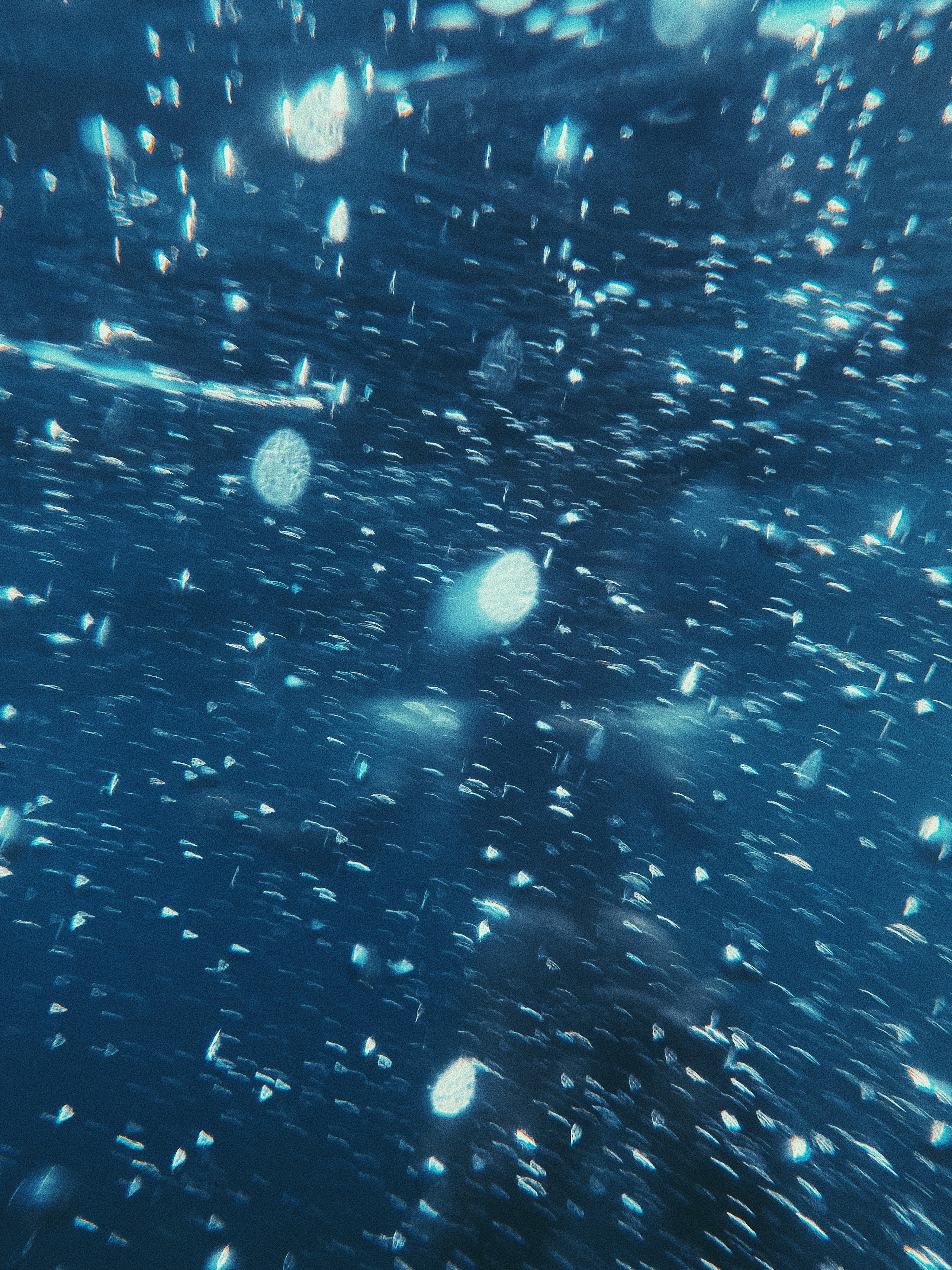 Underwater. Carolinetru