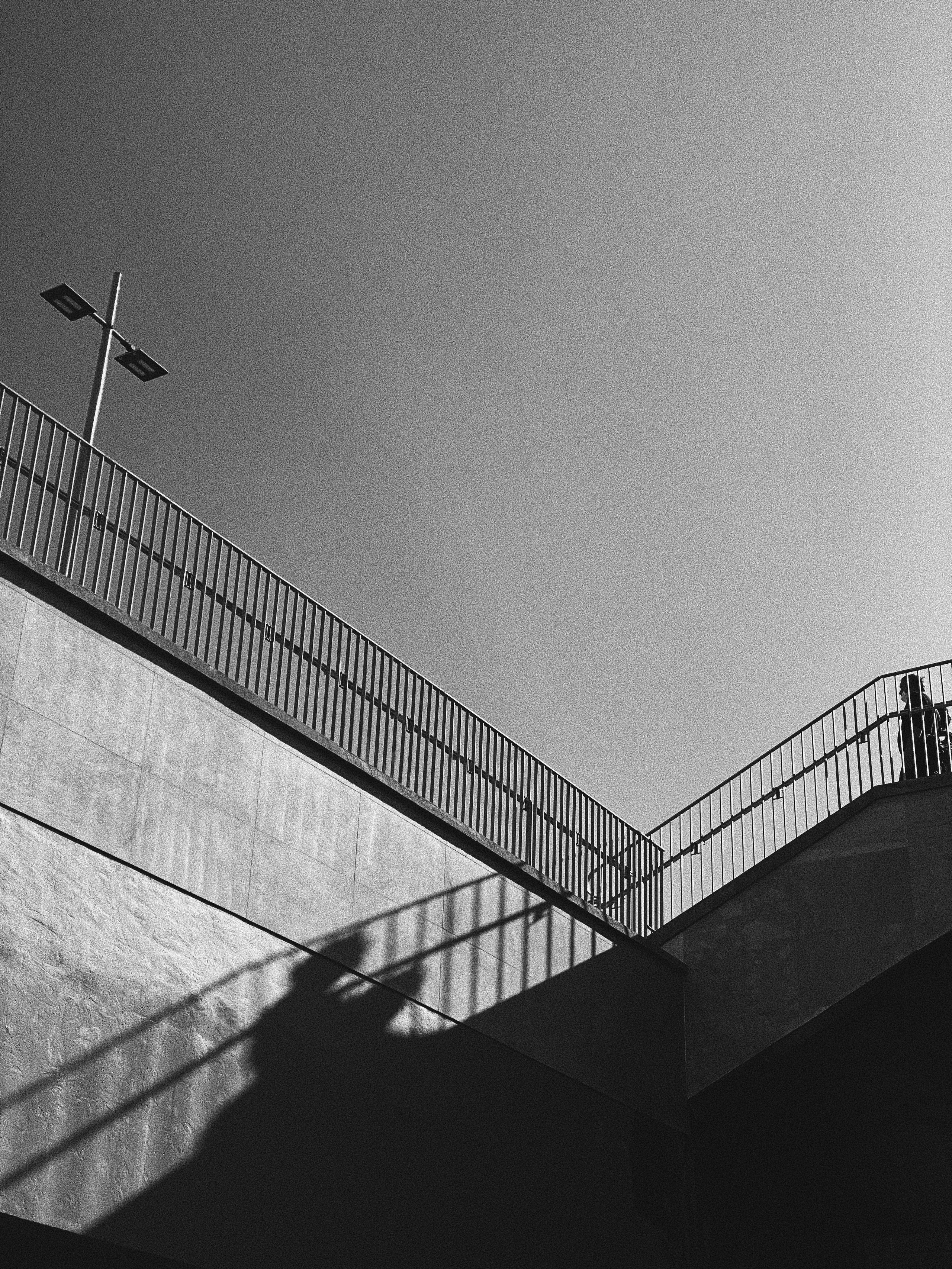 Étrangers. Carolinetru