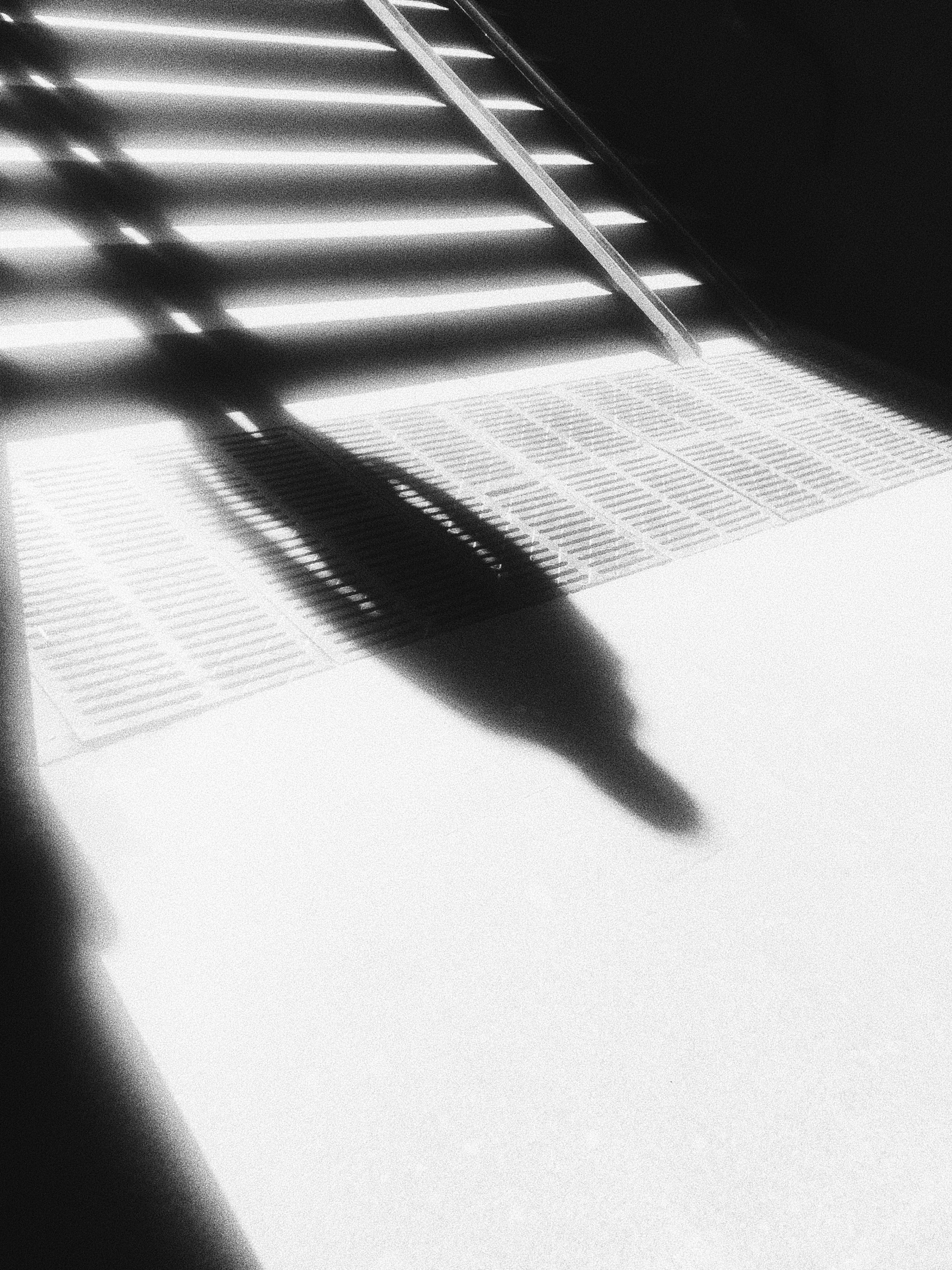 Étrangers. Carolinetru