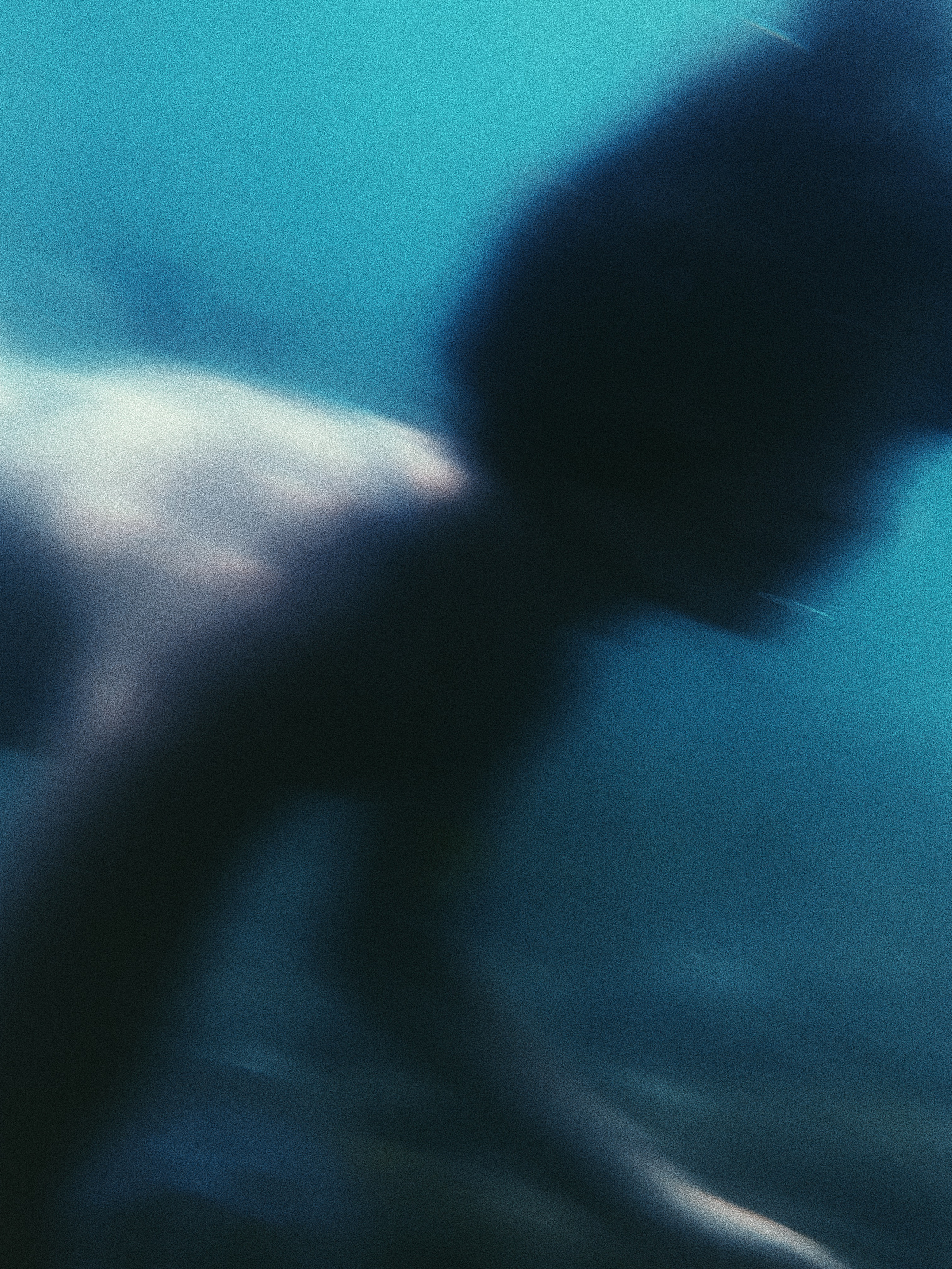 Underwater. Carolinetru