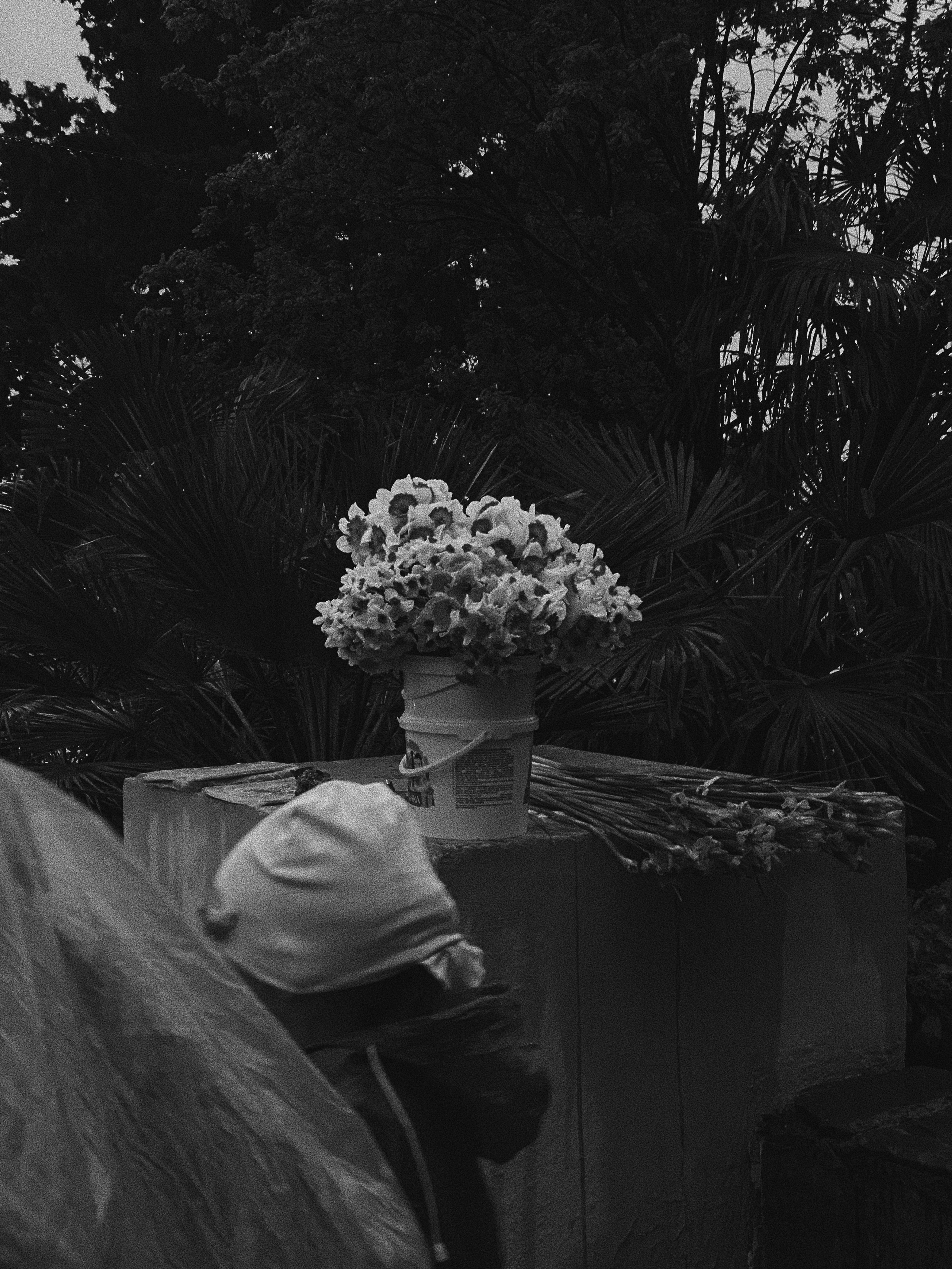 Étrangers. Carolinetru