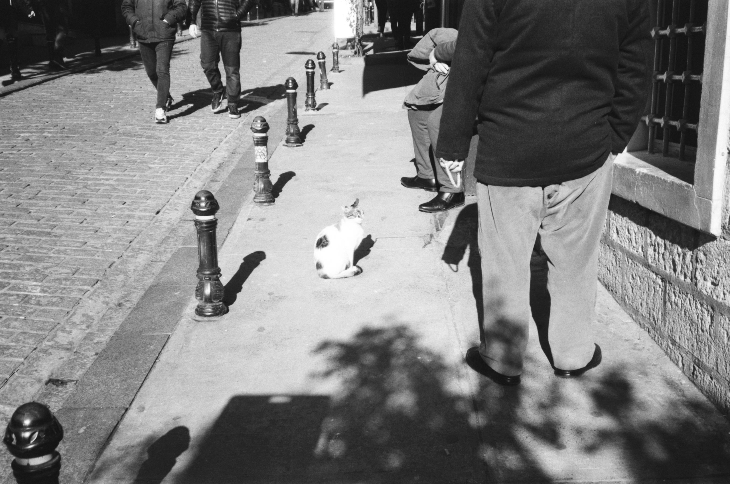 Istanbul. Carolinetru