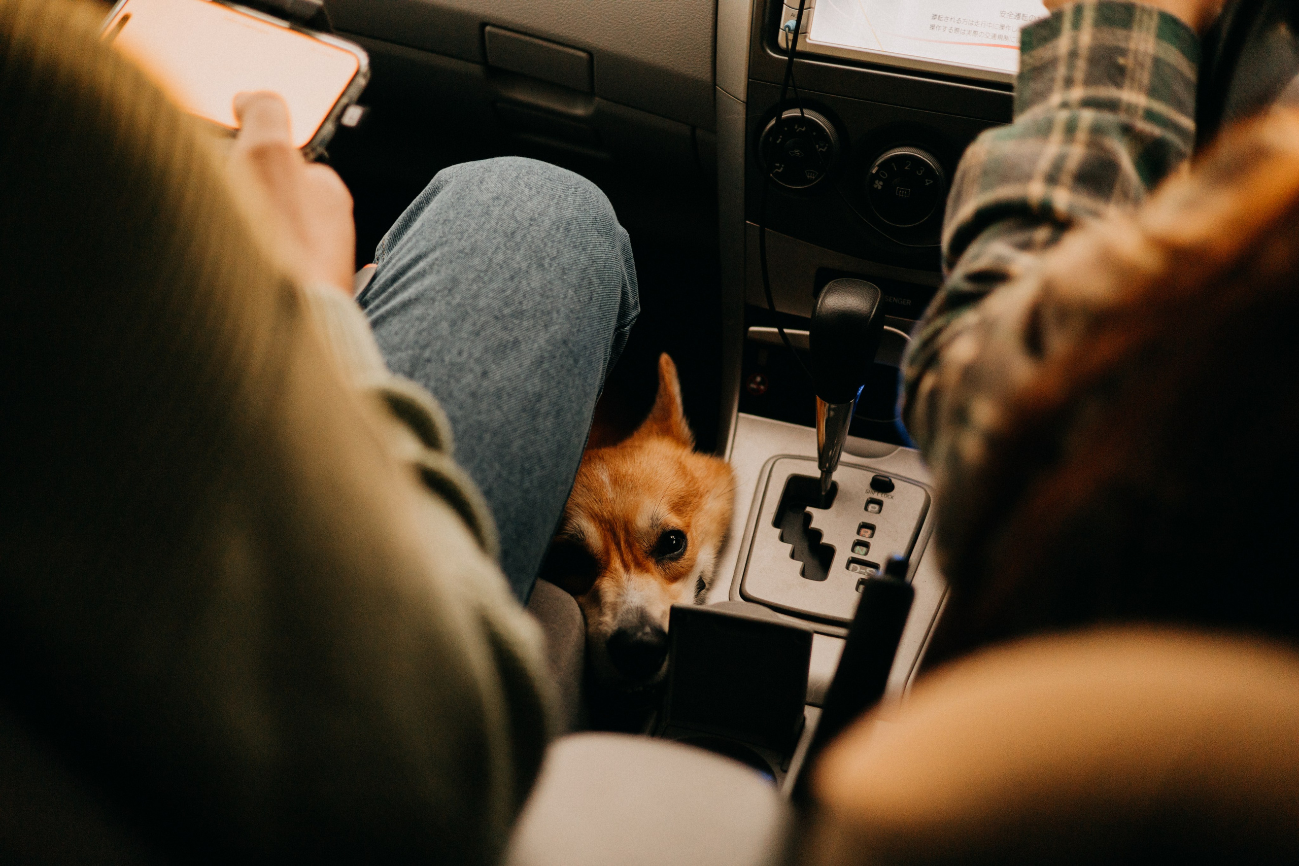 Заметили радугу?. Фотограф Настя Леонова